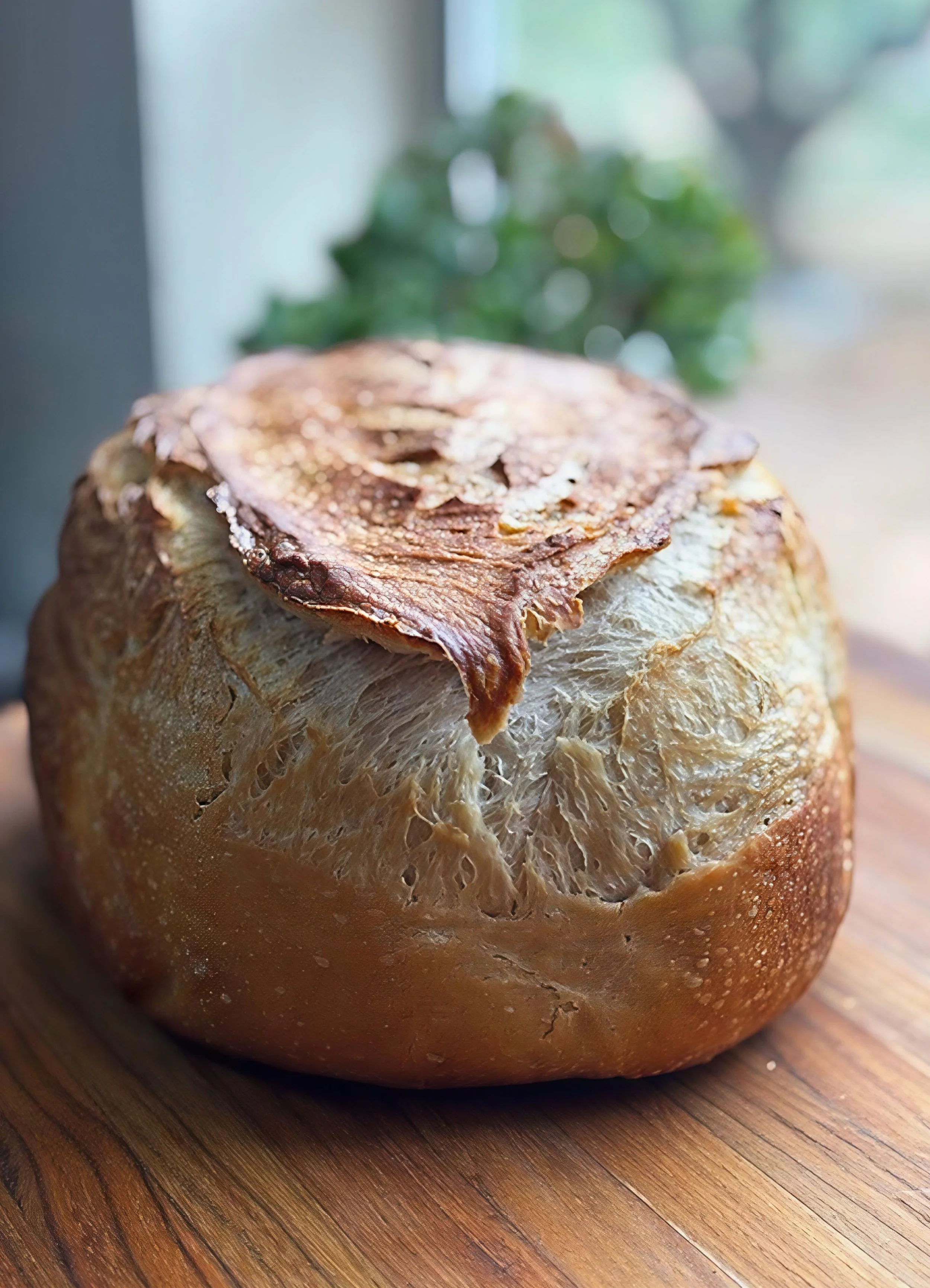 Original Sourdough - New Front profile.JPG