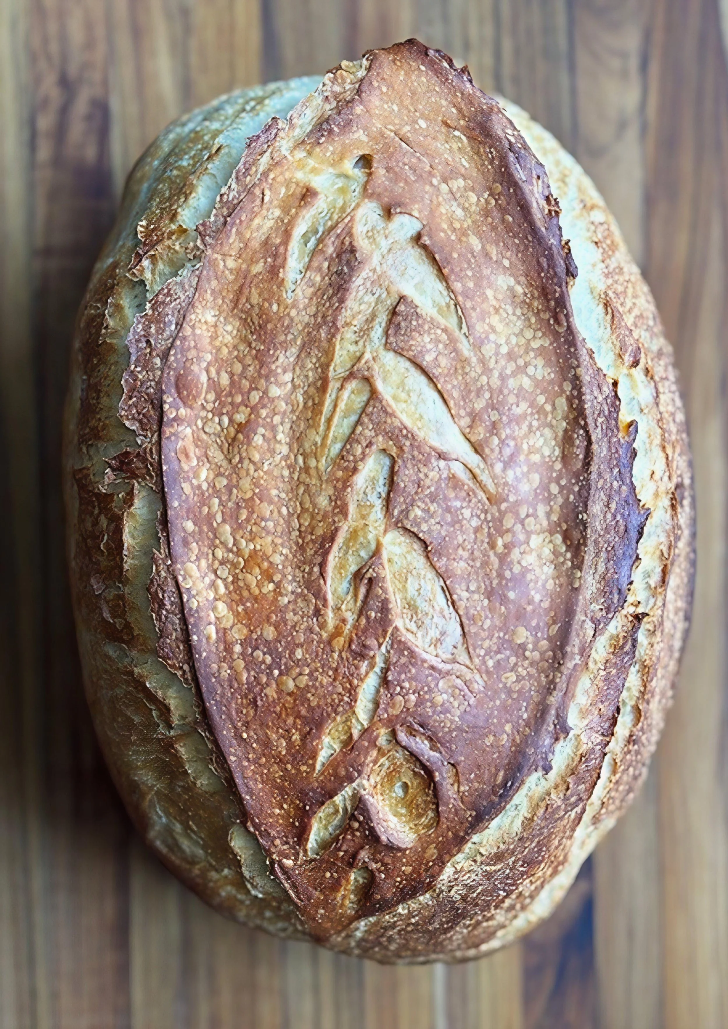 Original Sourdough - Top Profile.JPG