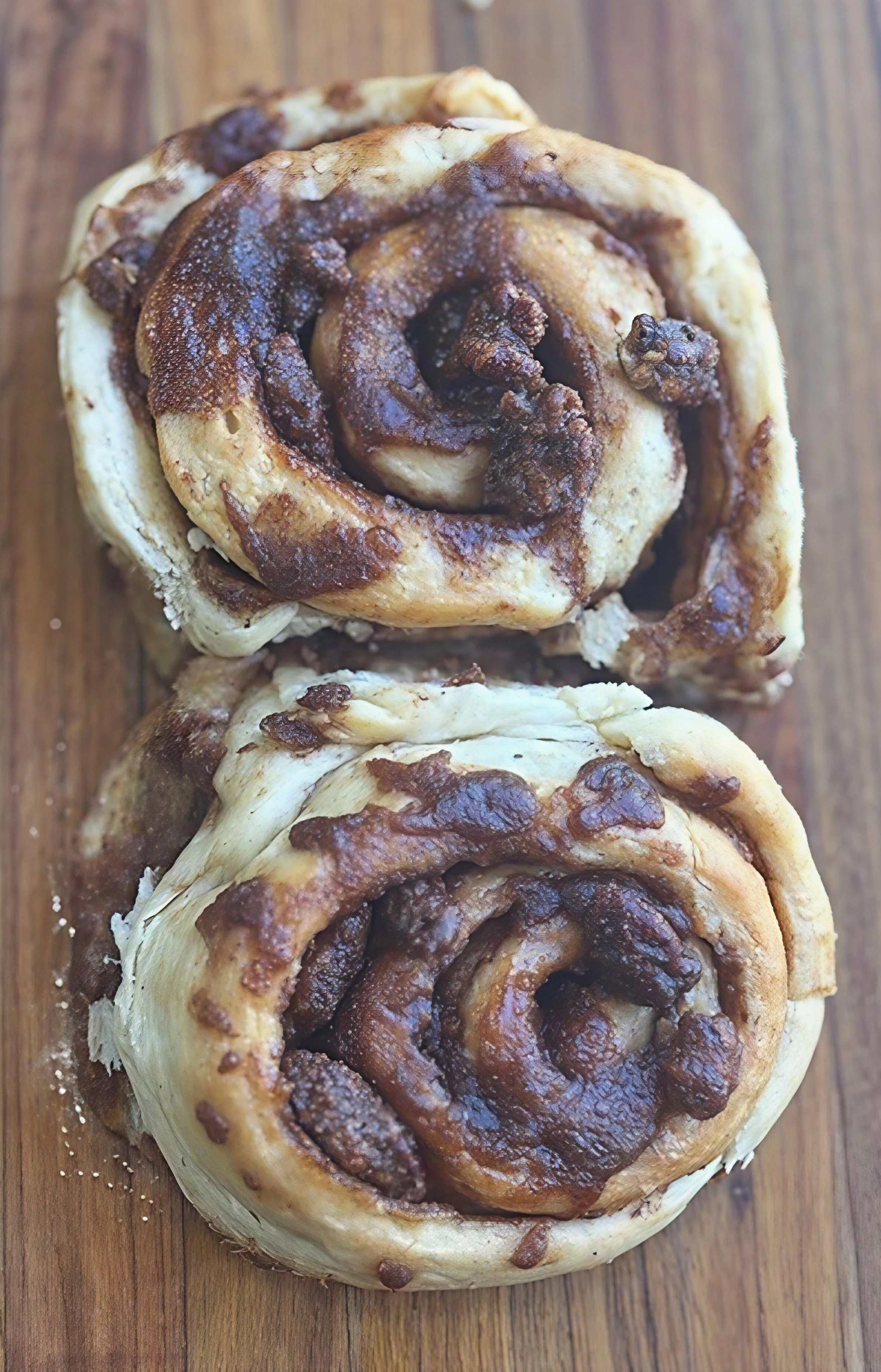 Candied Pecan Cinnamon Rolls.JPG