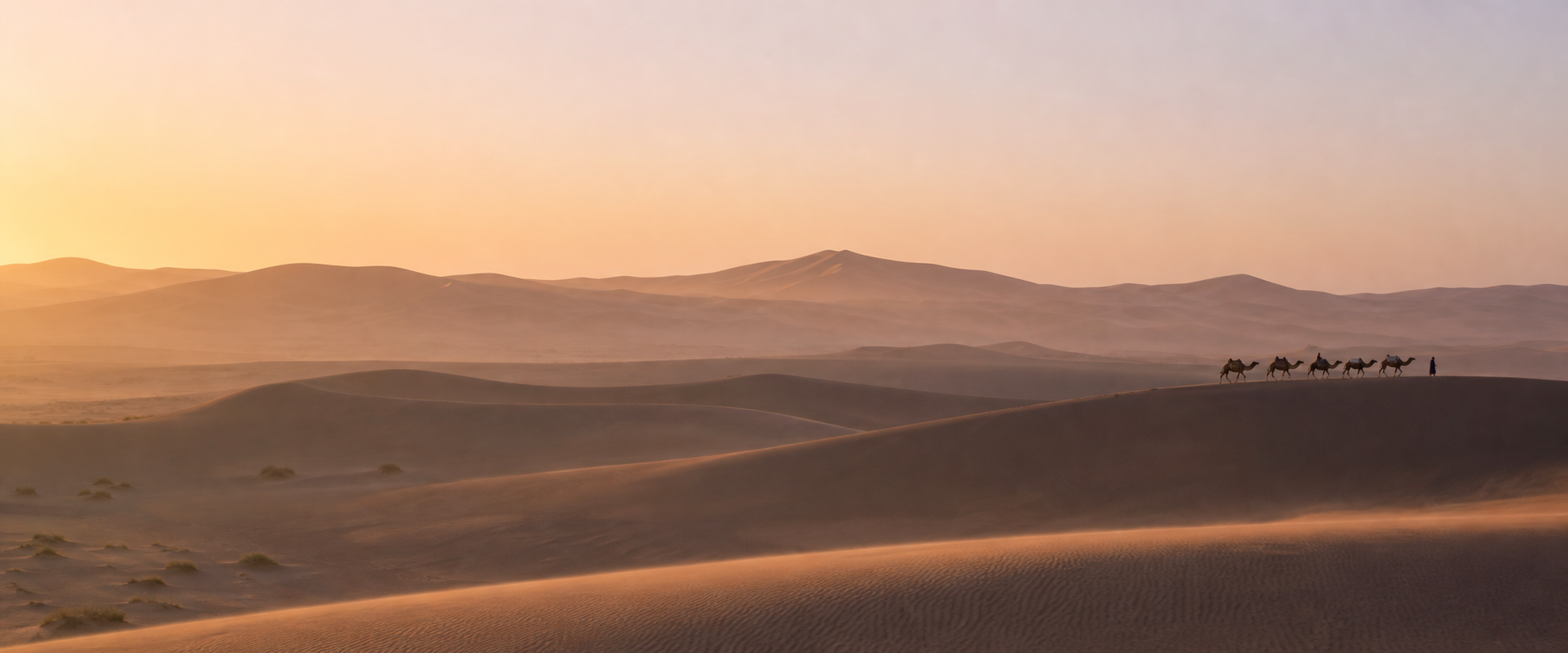 Camel caravan crossing the Erg Chigaga dunes at sunrise