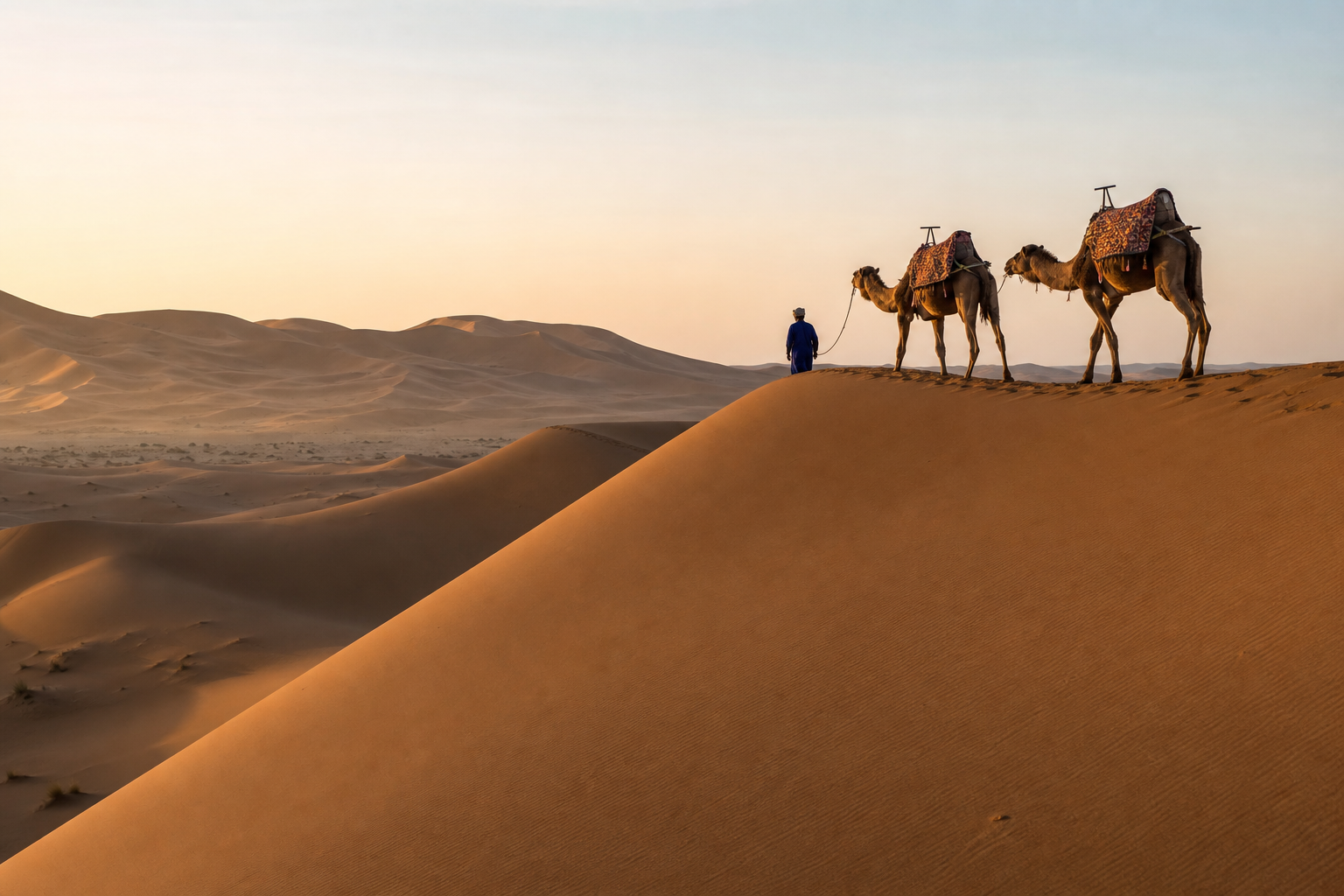Camels crossing a high Erg Chigaga dune in warm morning light
