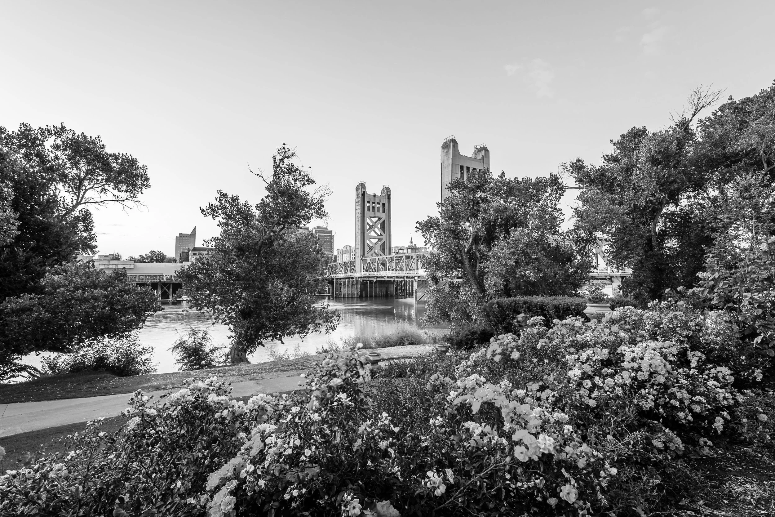 Tower Bridge, Sacramento CA