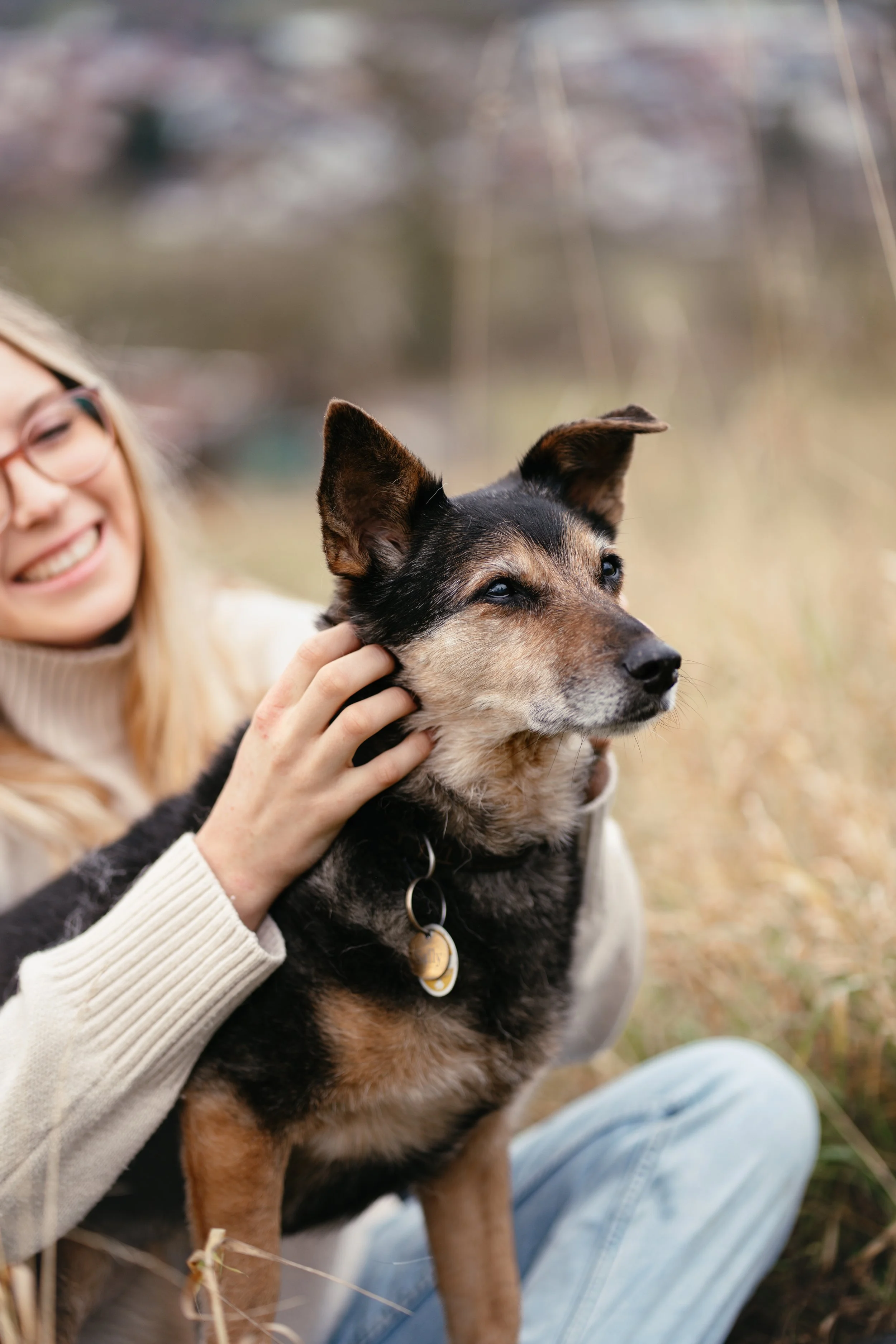 Frauchen krault Hündin am Kinn.