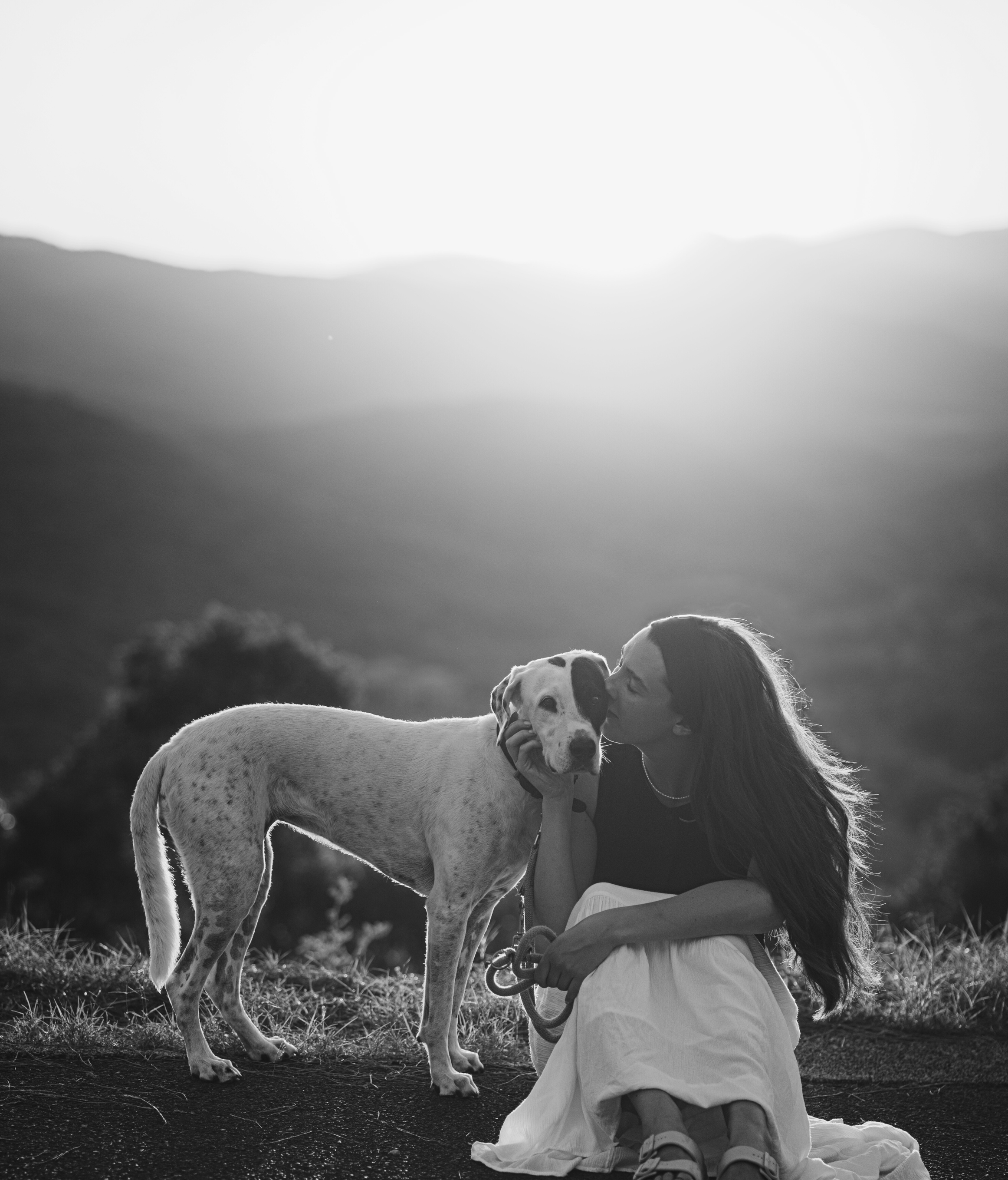 Mensch-Hund-Fotografin - nalaloona Fotografie