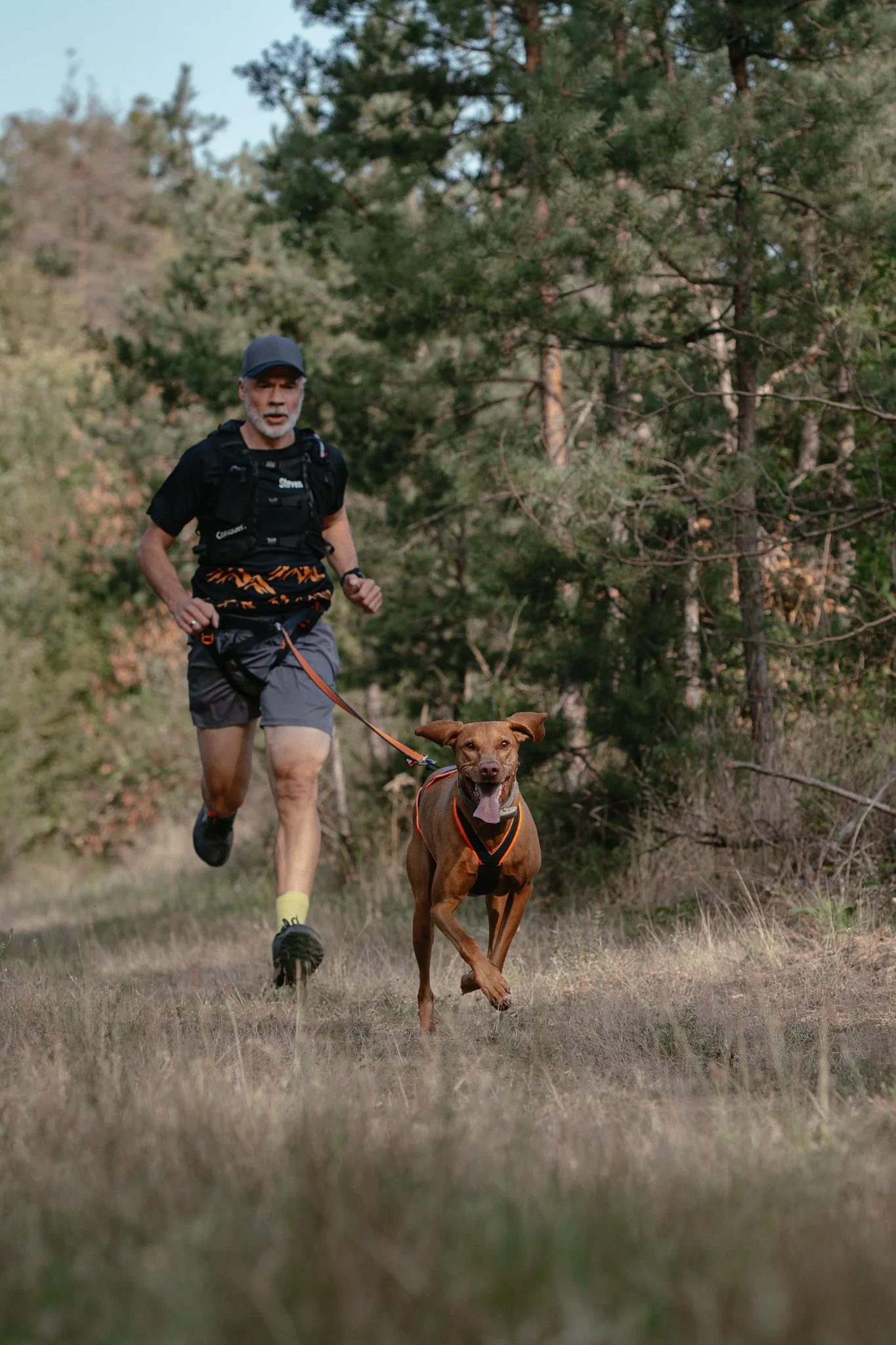 Ein Mann rennt mit seinem Vizsla Canicross durch einen Wald.