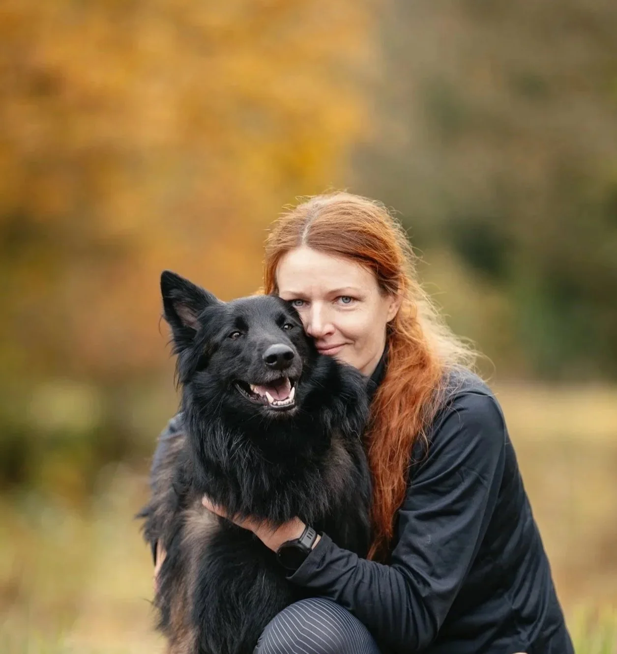 Belgischer Schäferhund Tervueren mit Frauchen im goldenen Herbstwald