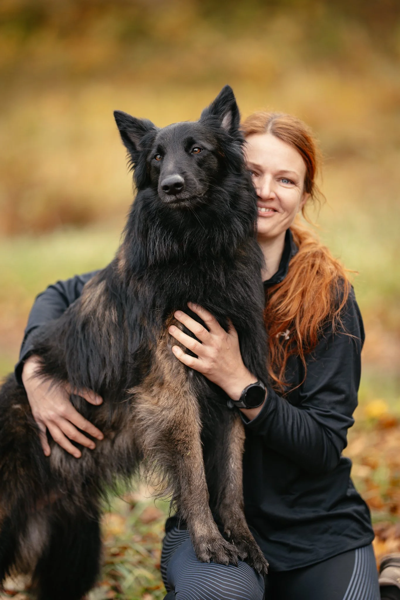 Belgischer Schäferhund Tervueren mit Frauchen im goldenen Herbstwald