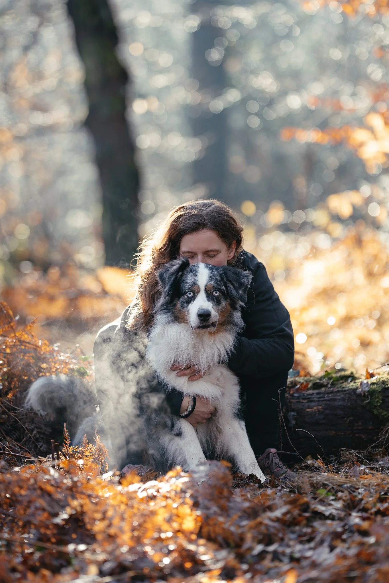 Australian Shepherd und Frauchen im Morgenlicht im Wald
