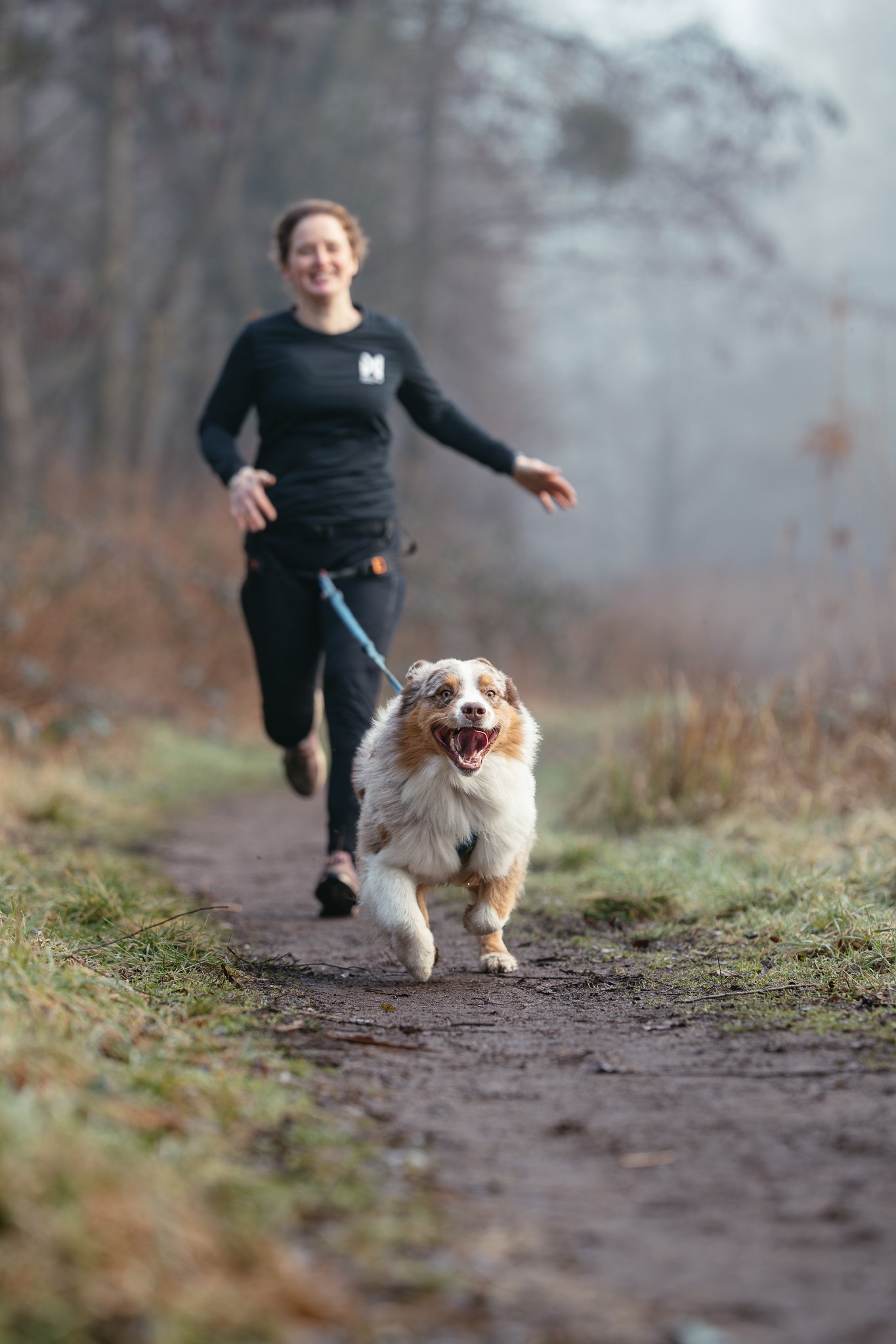 Frau läuft Canicross mit Australien Shepherd Rüden auf einem Waldweg.