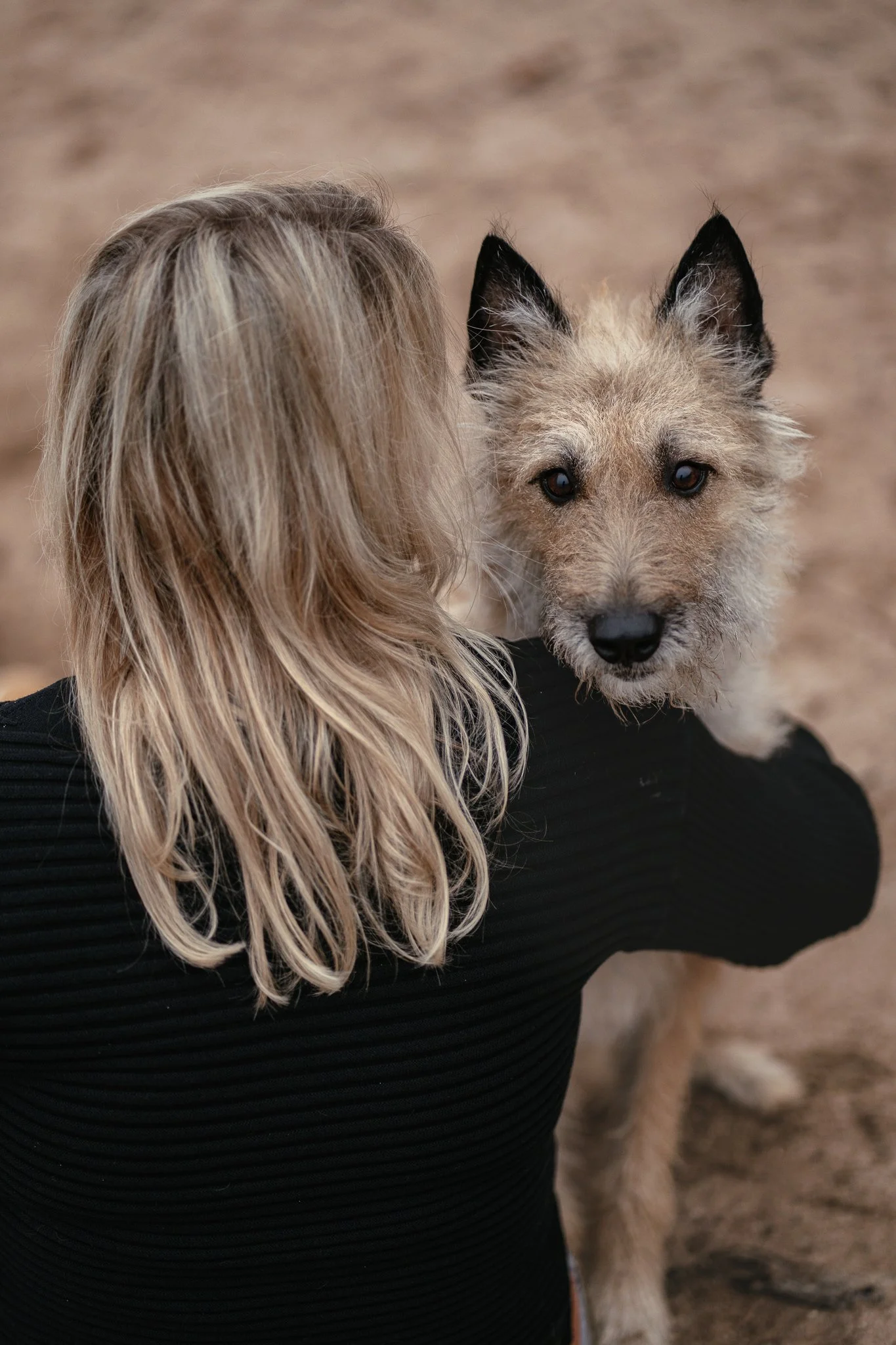Frauchen umarmt ihren Schäferhund Laekenois liebevoll