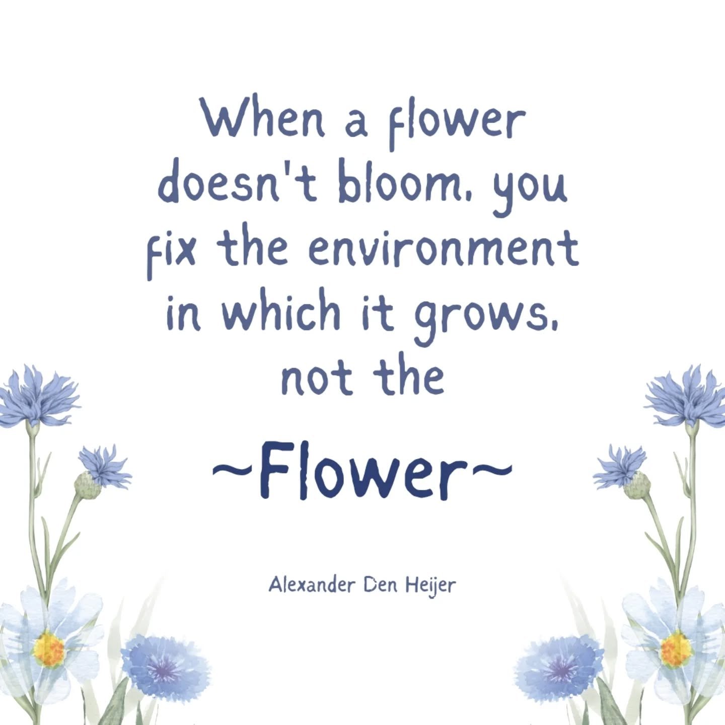 "When a flower doesn't bloom, you fix the environment in which it grows, not the flower."

This quote struck me hard this week and I haven't stopped thinking about it.

It pretty much sums up everything I'm passionate about right now.

As a