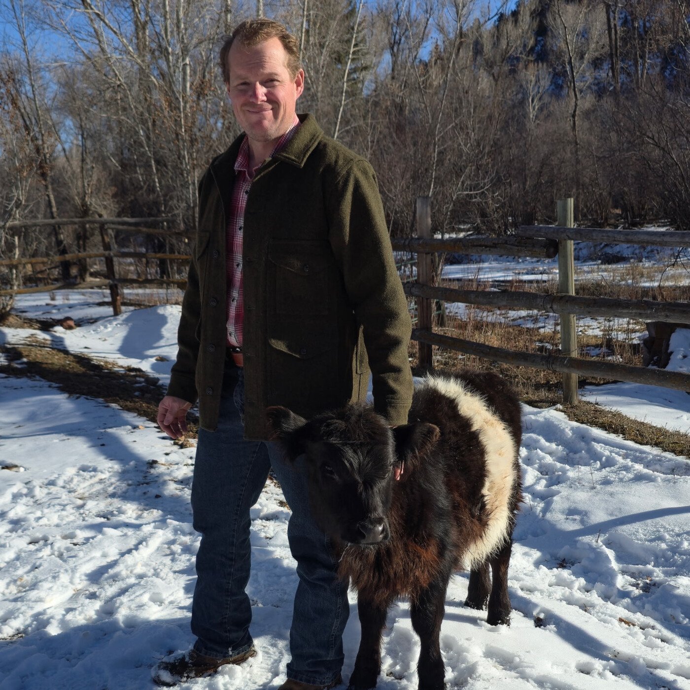 A man dressed in a green jacket and jeans standing outdoors in a snowy area, holding a small cow or calf with black and white fur.