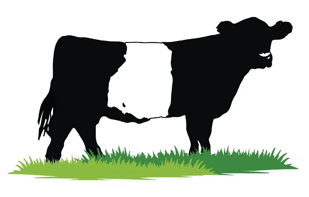 Silhouette of a cow with the shape of the United States on its body, standing on green grass.