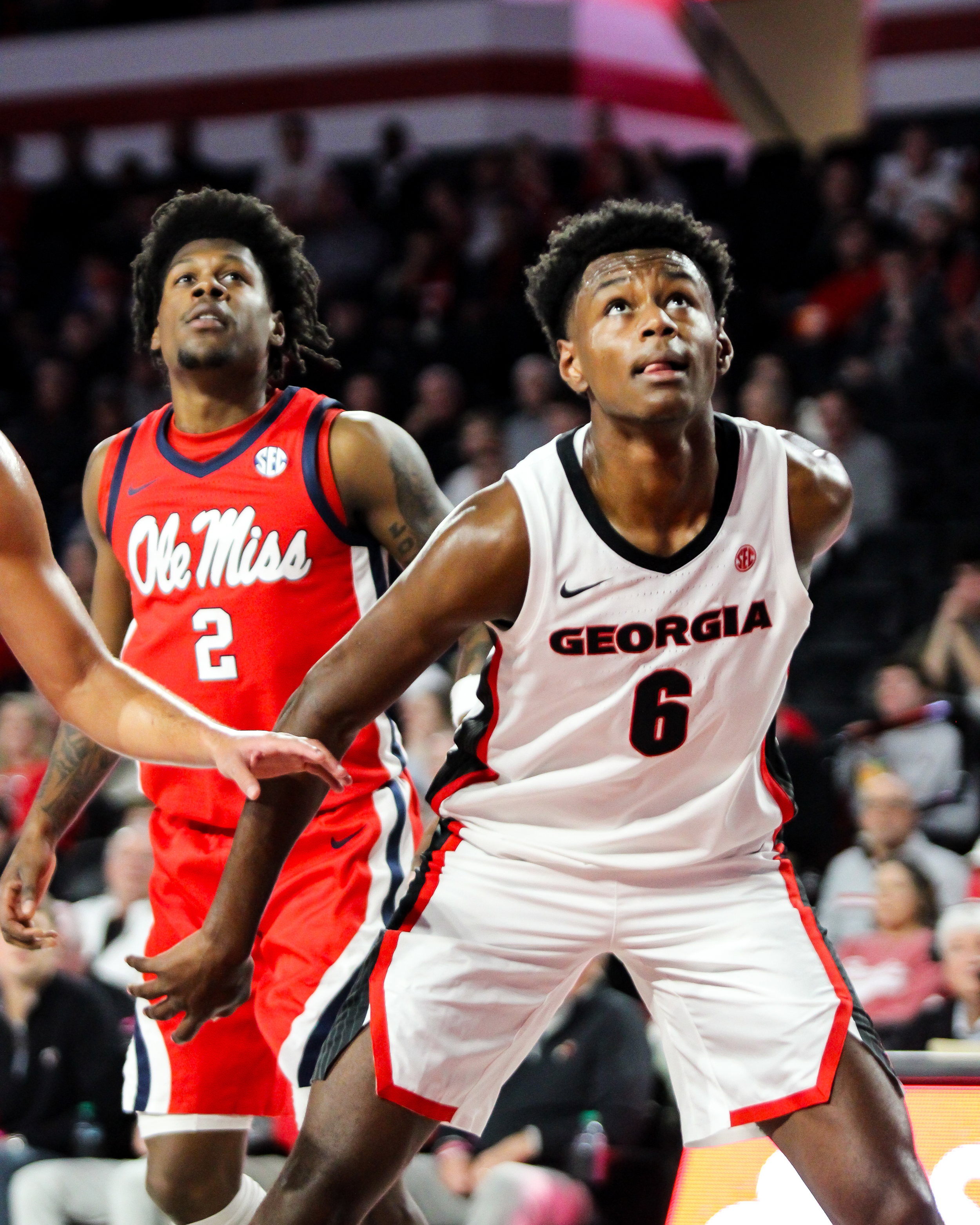 Untitled design - 1.png