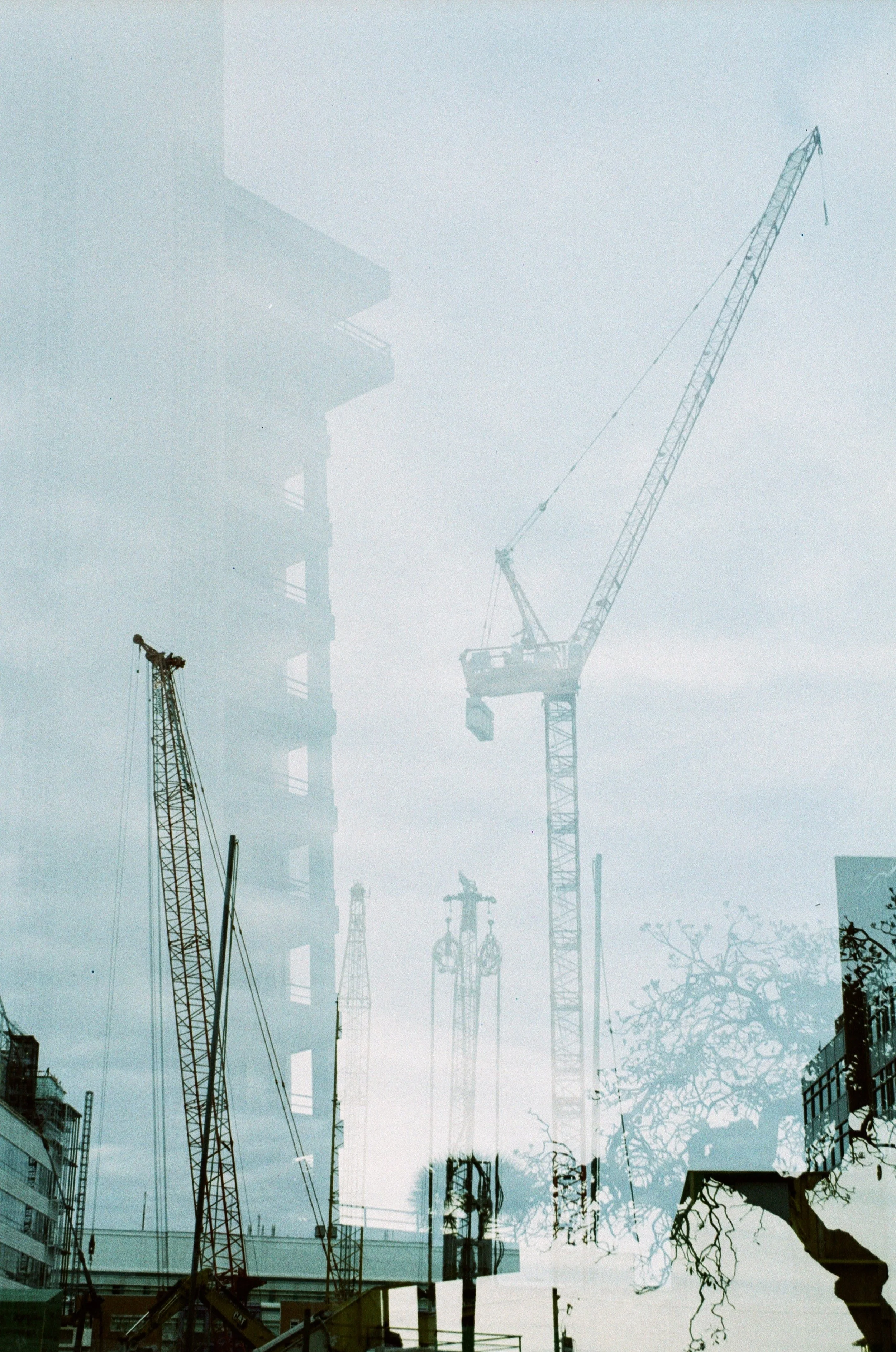 Double exposure photo of a construction site with cranes, a building, and a tree.