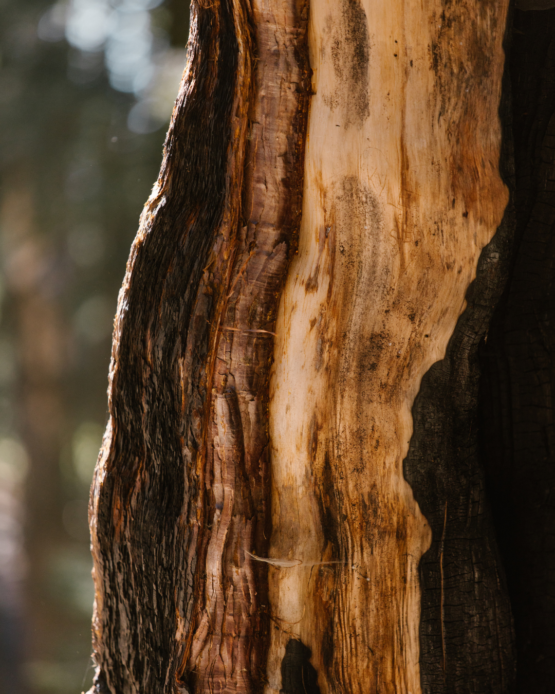 One Role of a Doula: Providing Resources and Advocacy