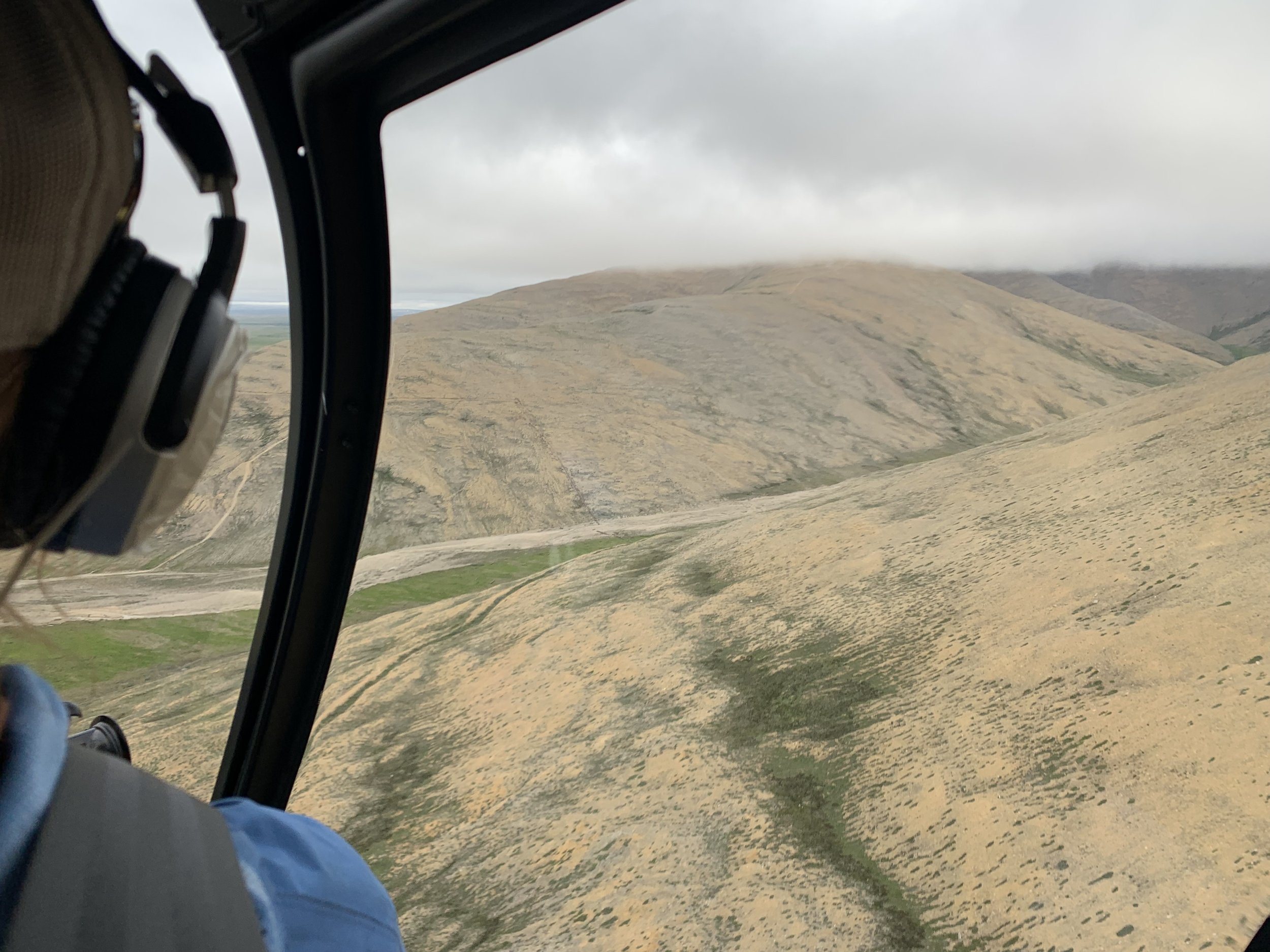 Scientific Manuscript Editing