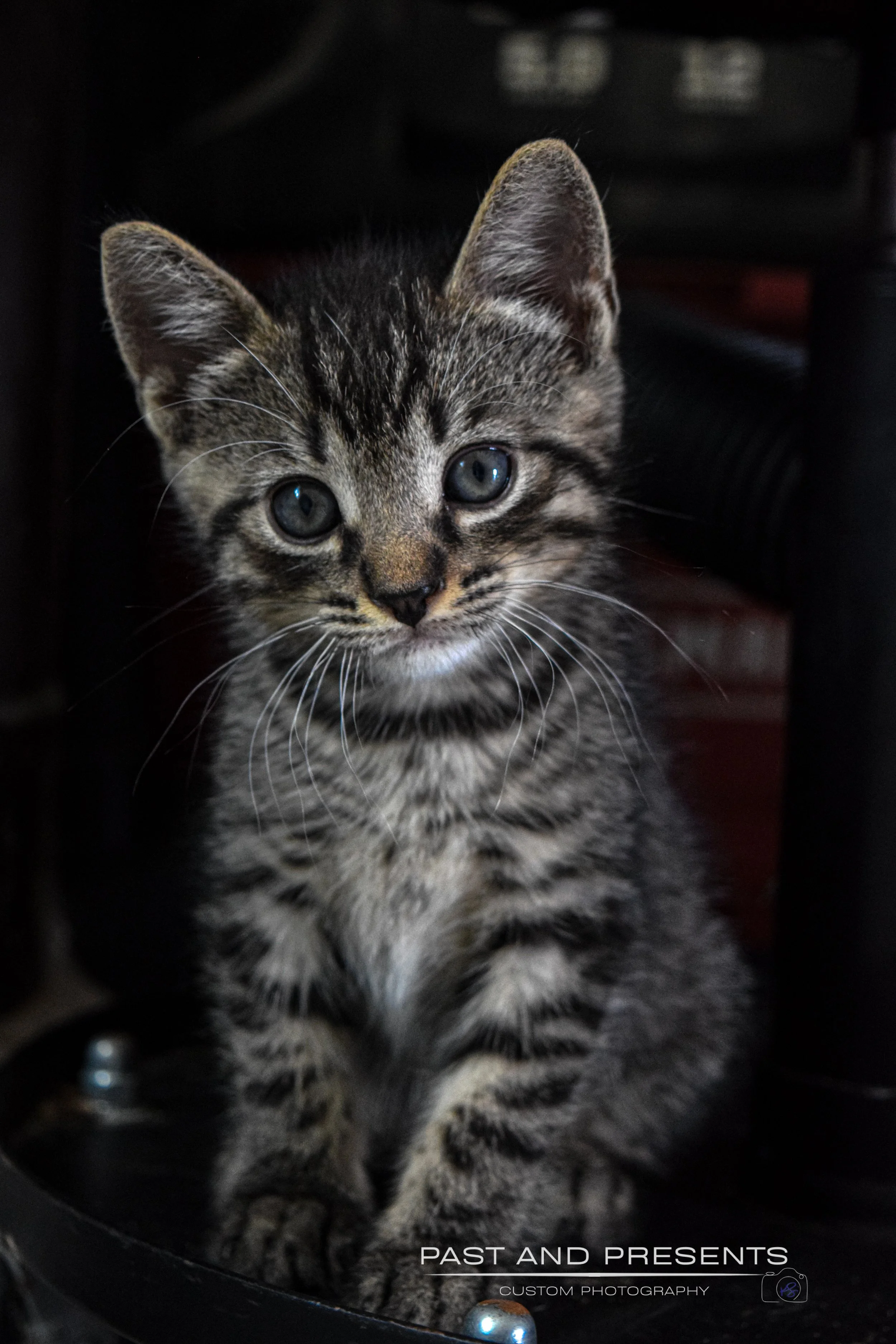 DSC_0972.JPG