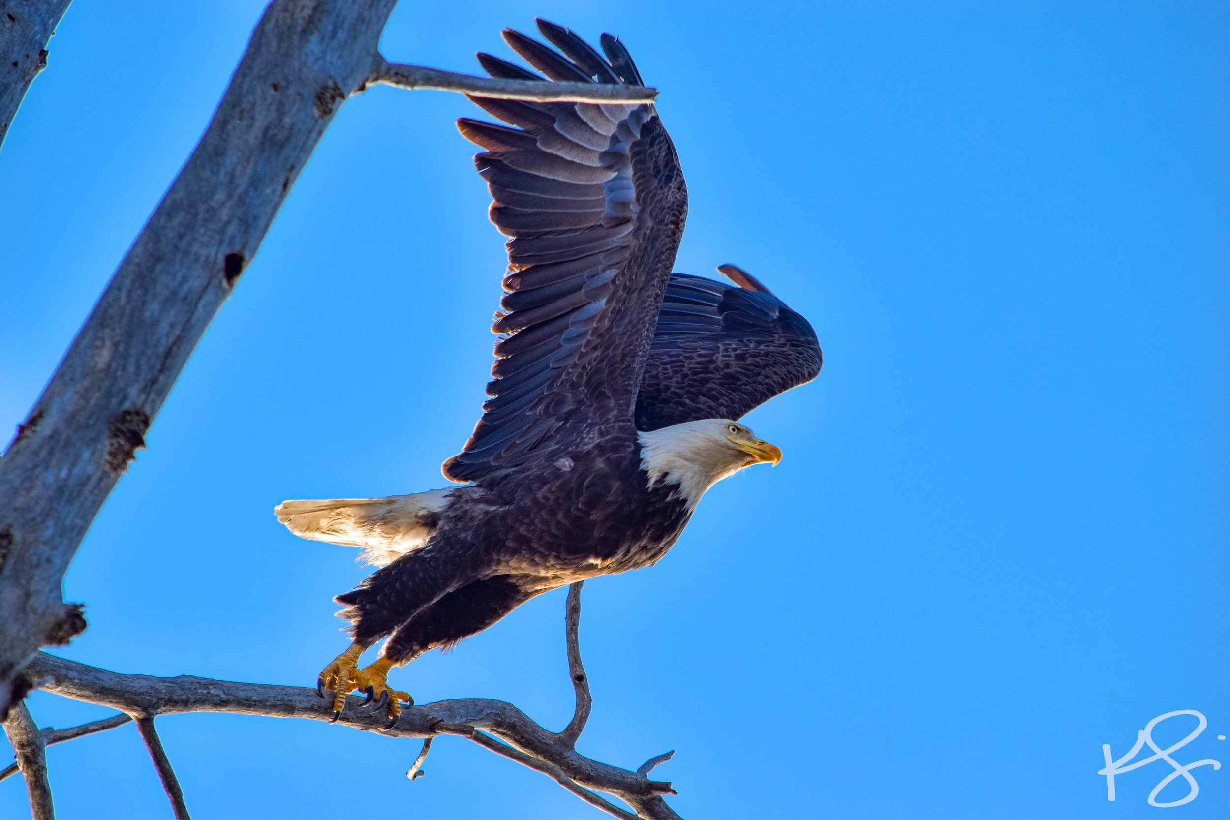 DSC_0843.JPG