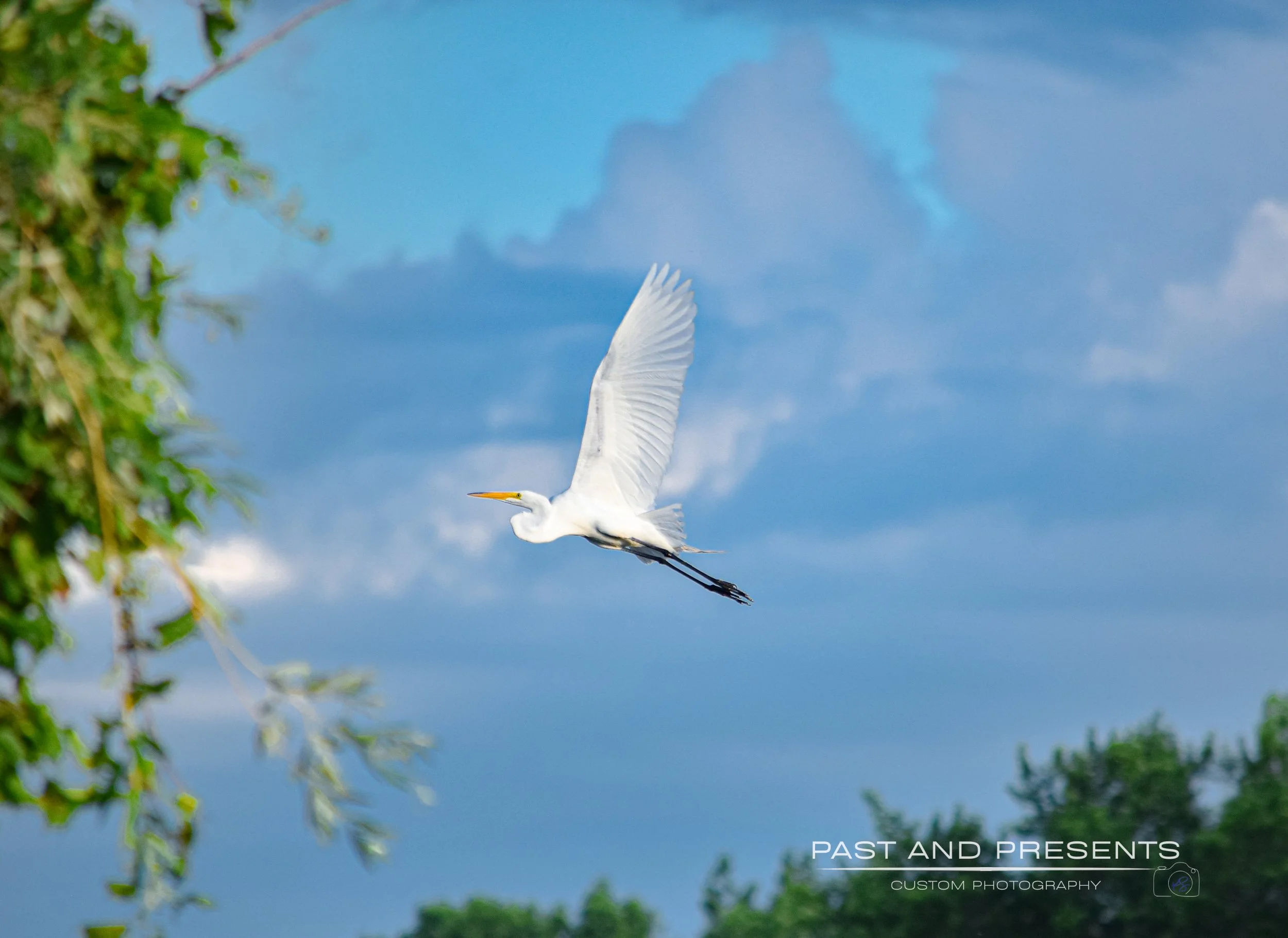 DSC_0566.JPG