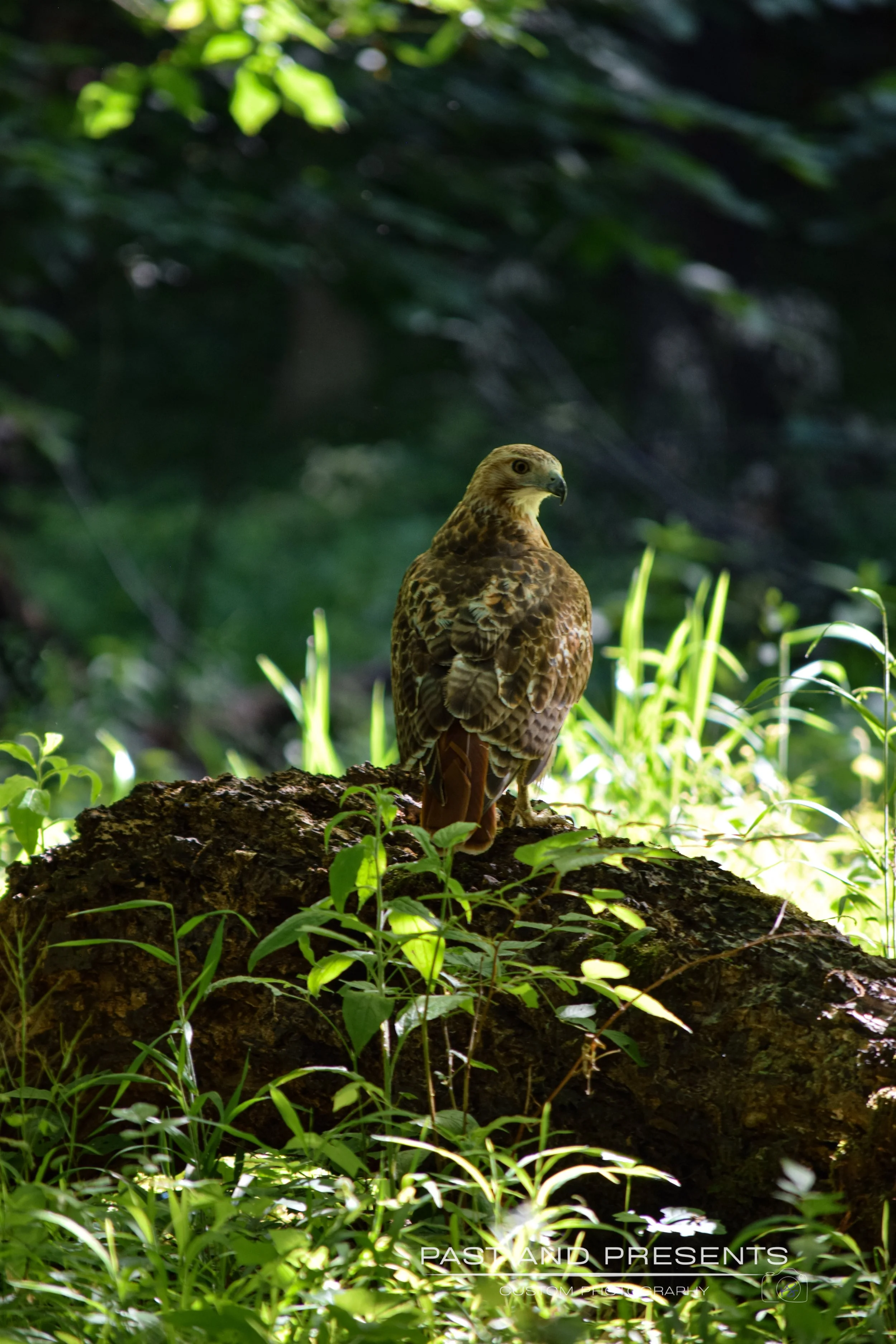 DSC_0140.JPG