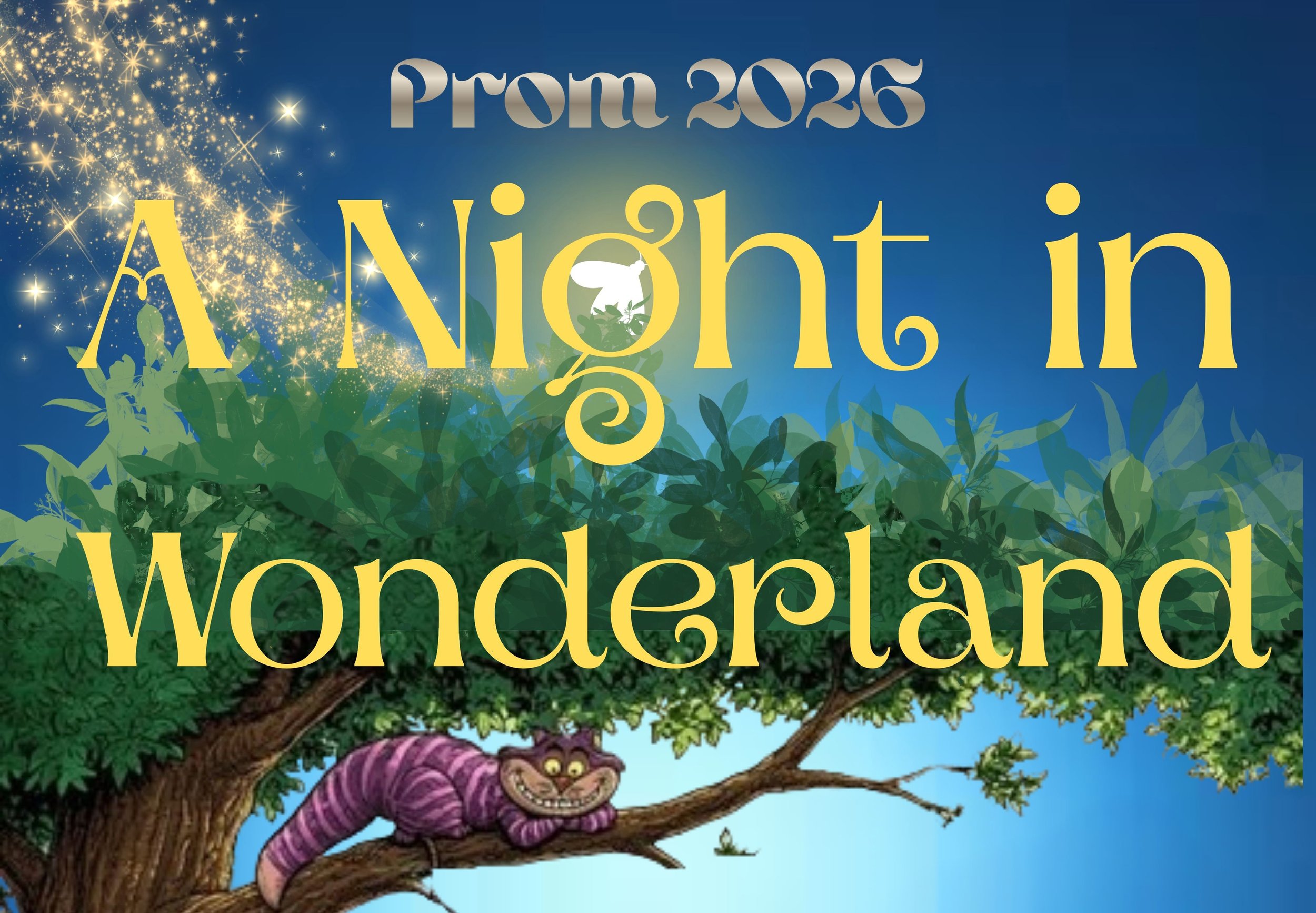 A Night in Wonderland 