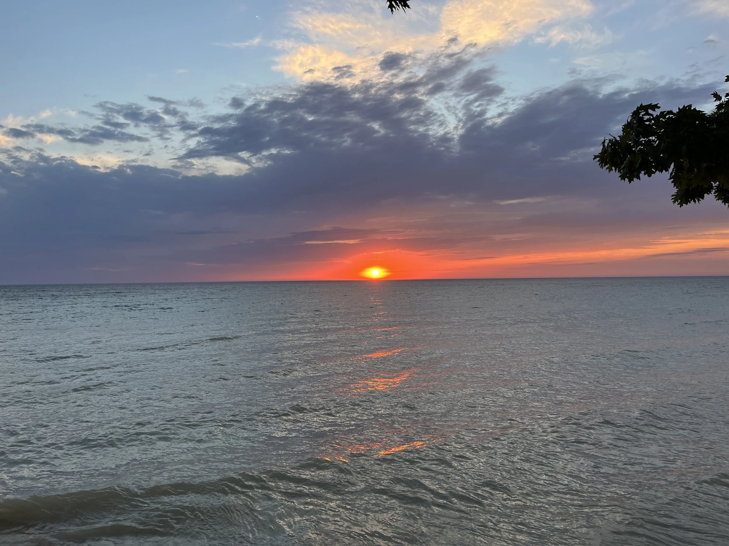 IMG_0421 Matthew Phinney.jpg