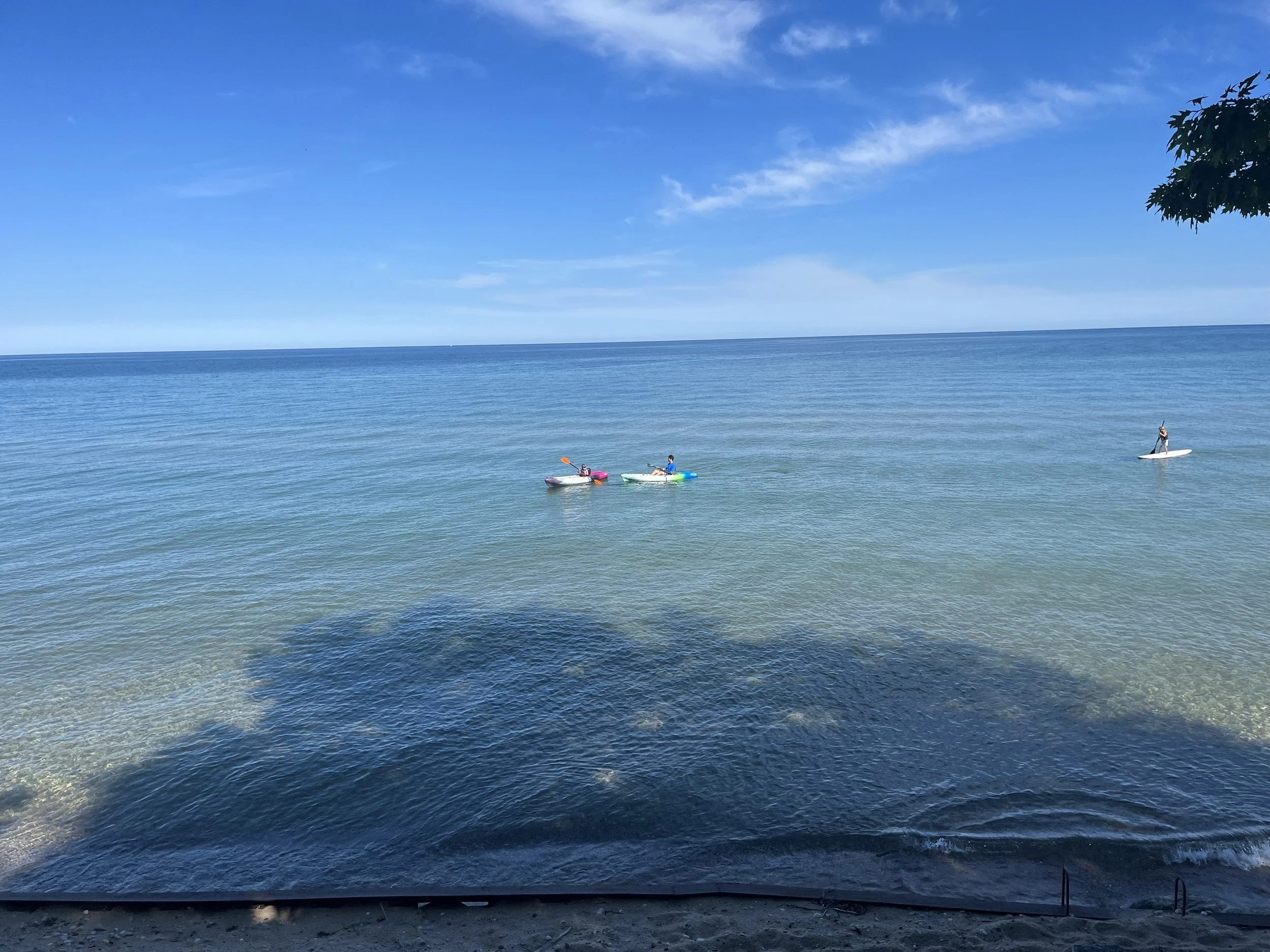 IMG_0501 Matthew Phinney.jpg