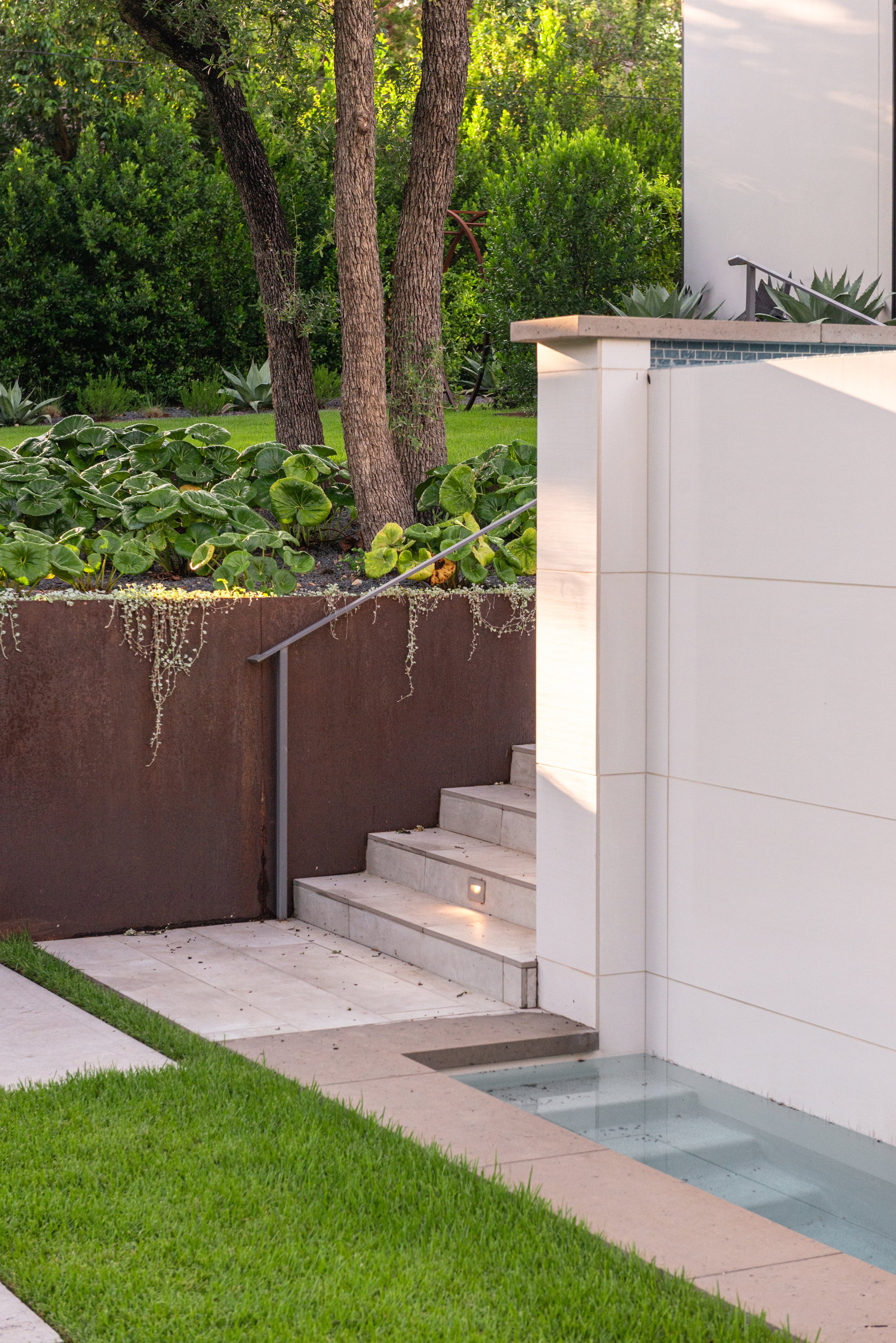 Oversized steel planters are filled with lush swaths of waxy, bright green leopard plant, while silvery ponyfoot cascades over the edges for a striking contrast in color, texture, and form.