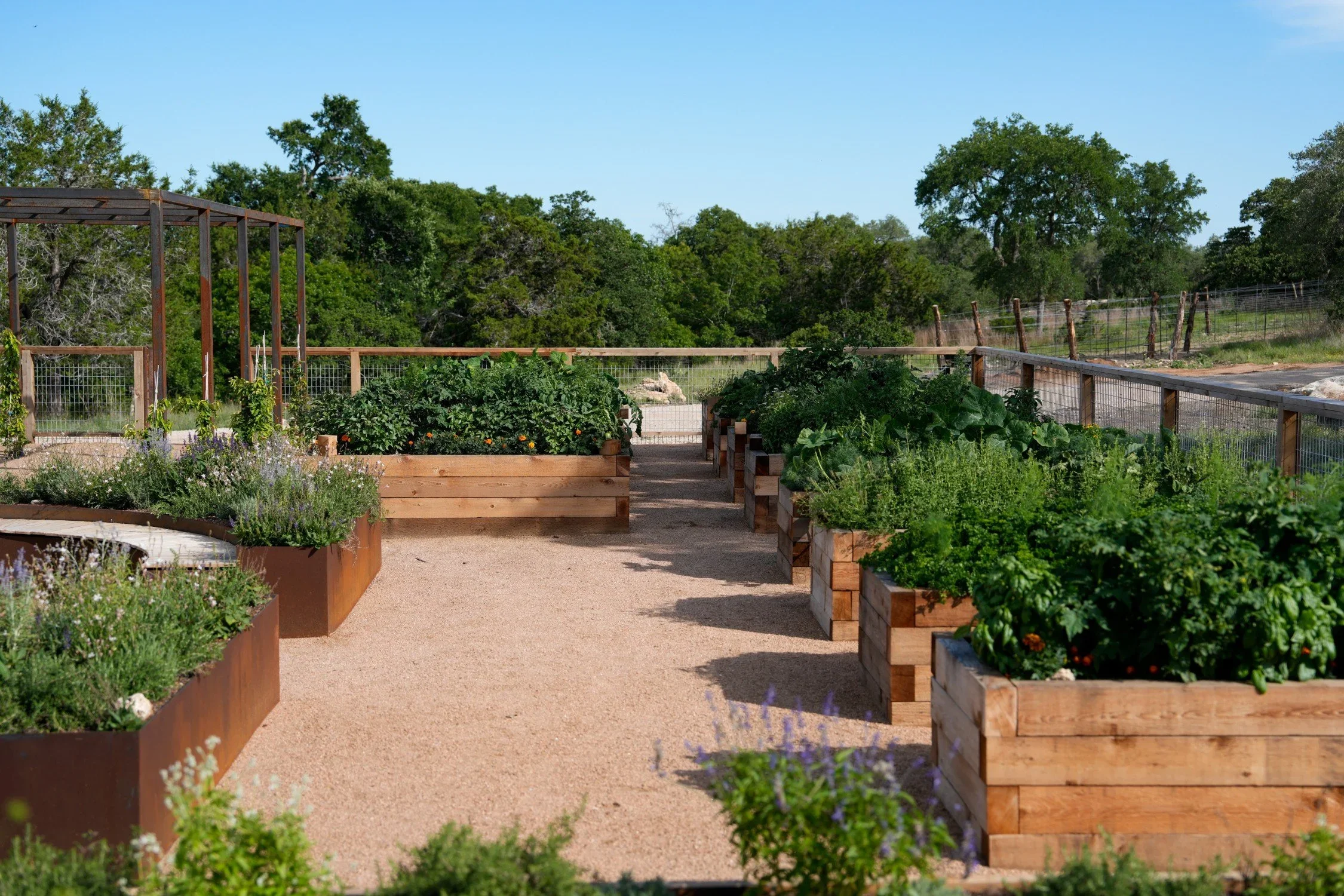 EDIBLE GARDENS & RAISED BEDS
