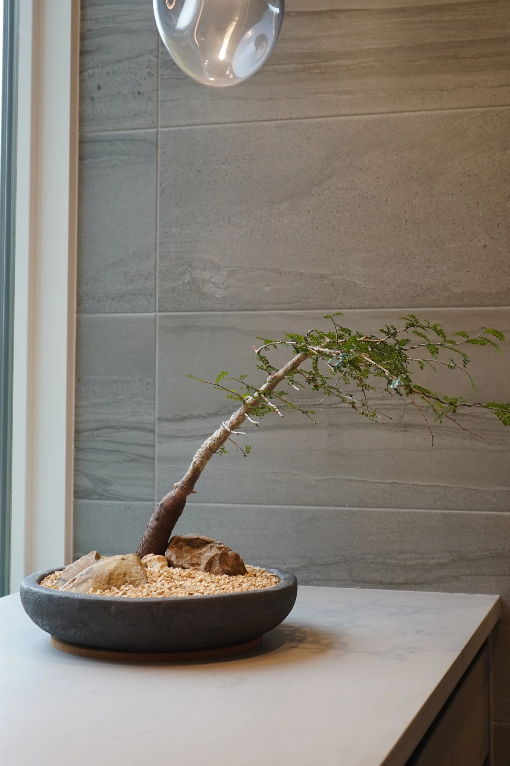 INTERIOR BOTANICALS