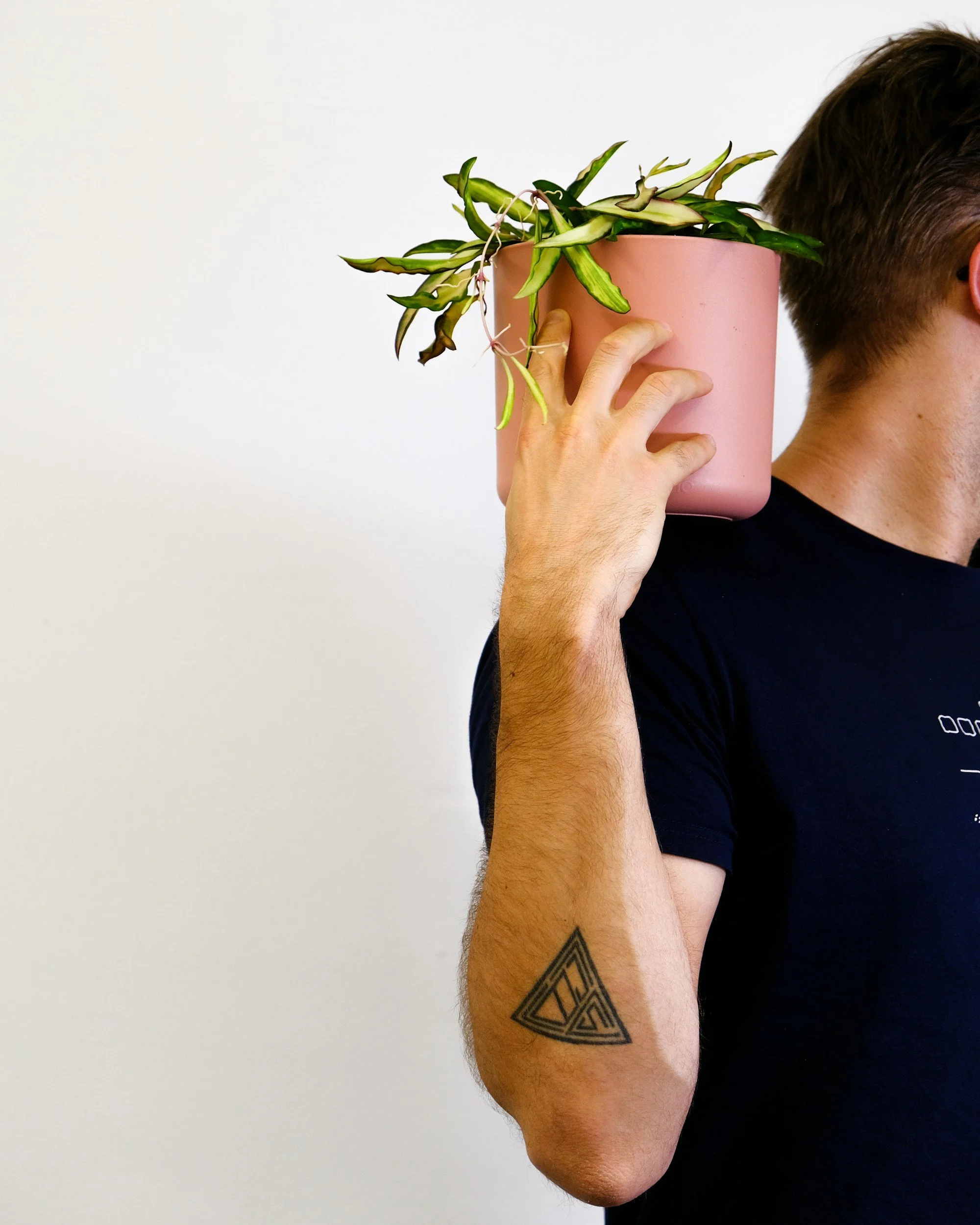 A person holding a pink planter with a green, variegated foliage plant against a plain white wall background.