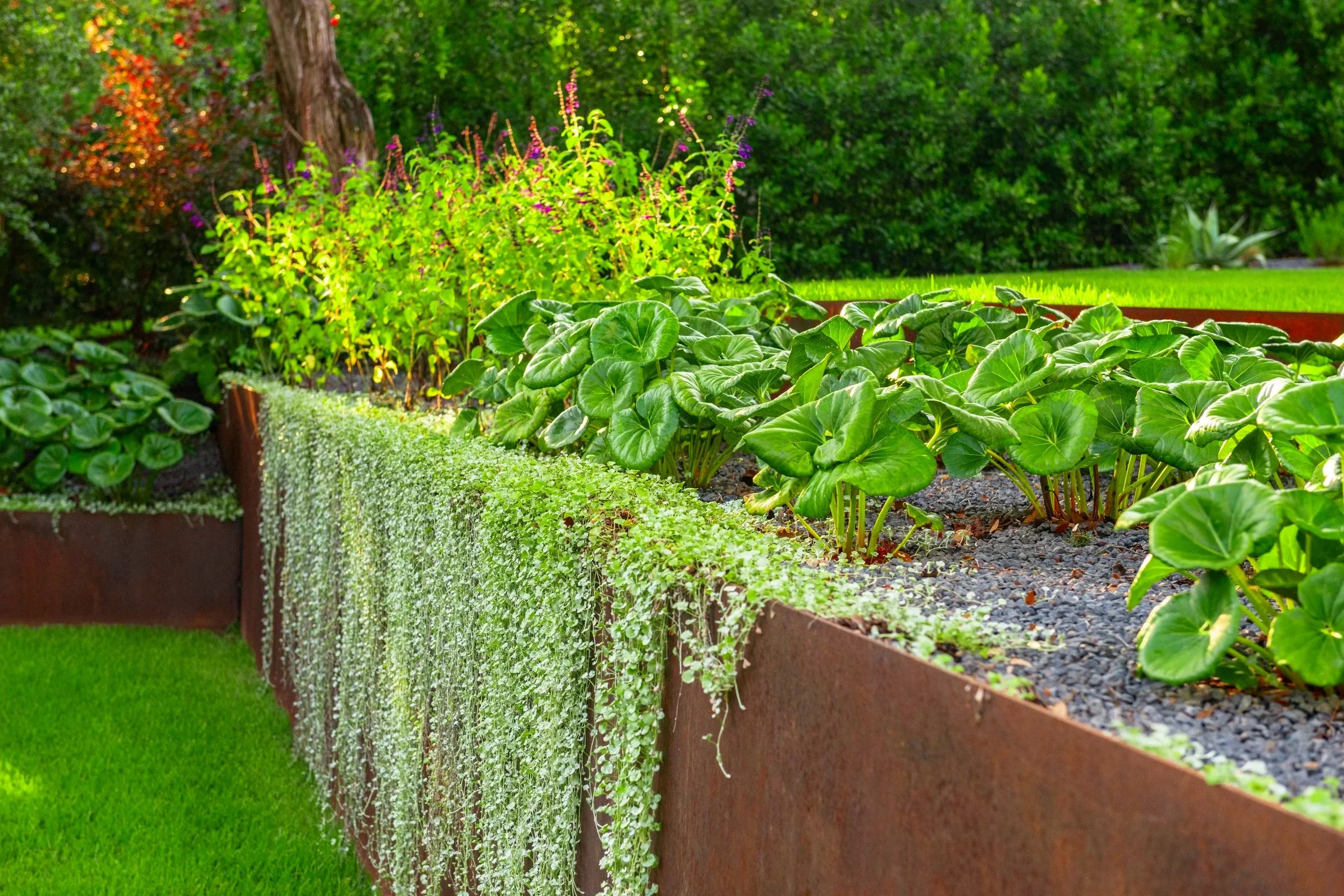 Additional terracing in the backyard creates dramatic changes in elevation, defining a series of distinct garden levels and inviting a variety of experiences throughout the landscape.