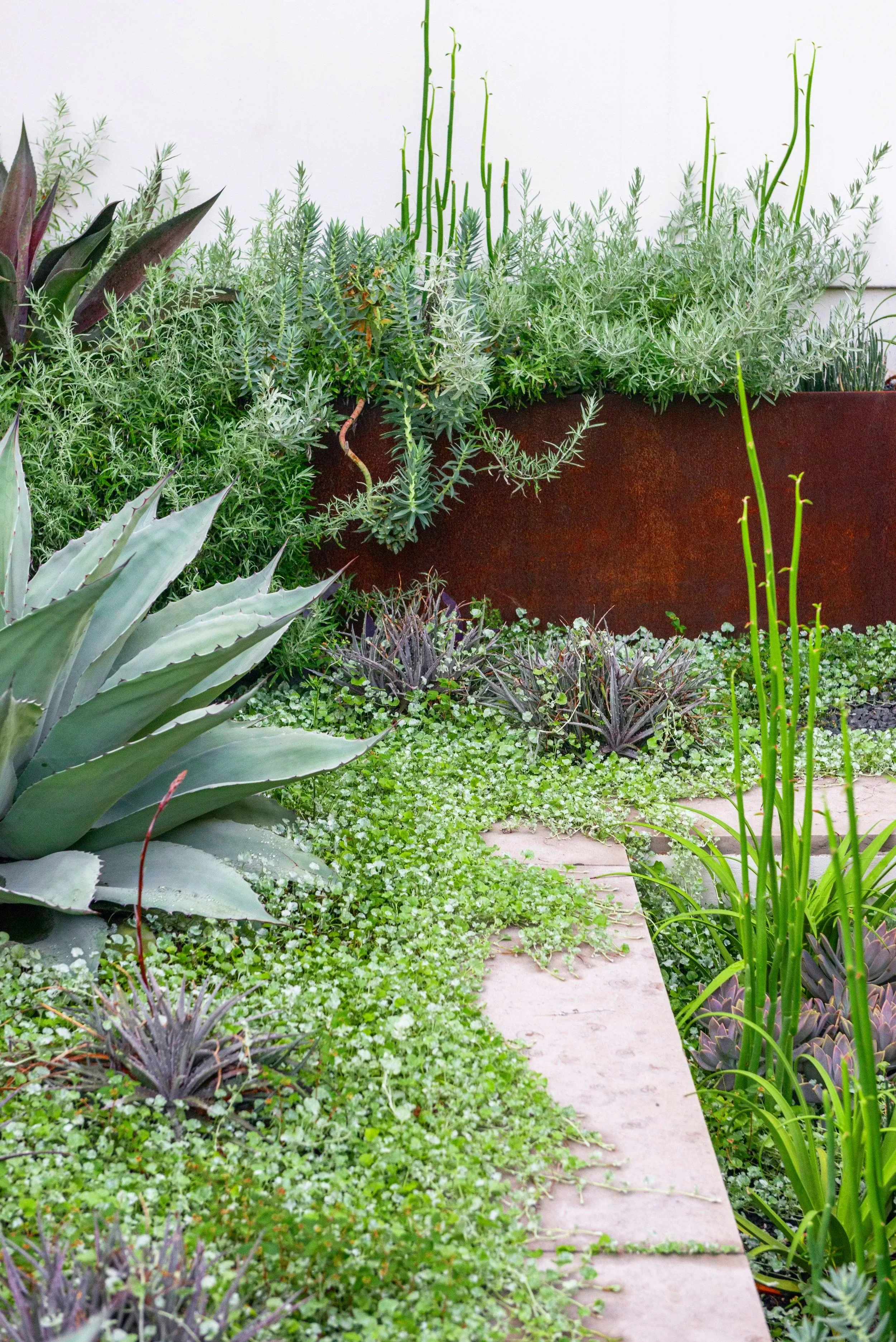 A striking, purposefully muted palette of mauves and greens creates an intriguing corner garden rich with subtle color, texture, and depth.