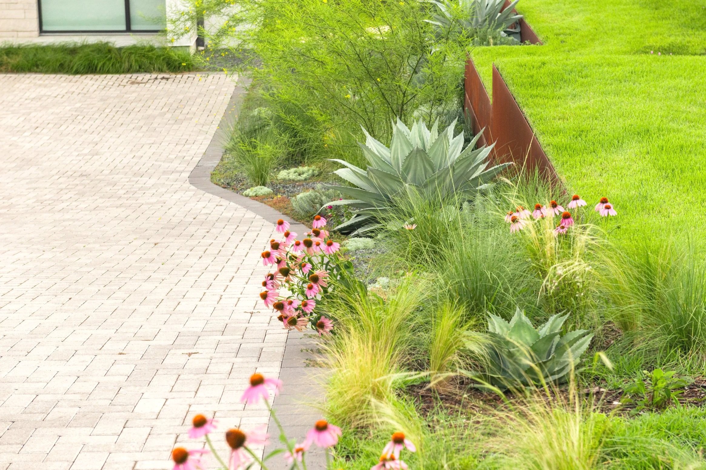 Layered plantings soften the clean lines of the paver driveway, creating a lush, natural transition between the hardscape and surrounding landscape.