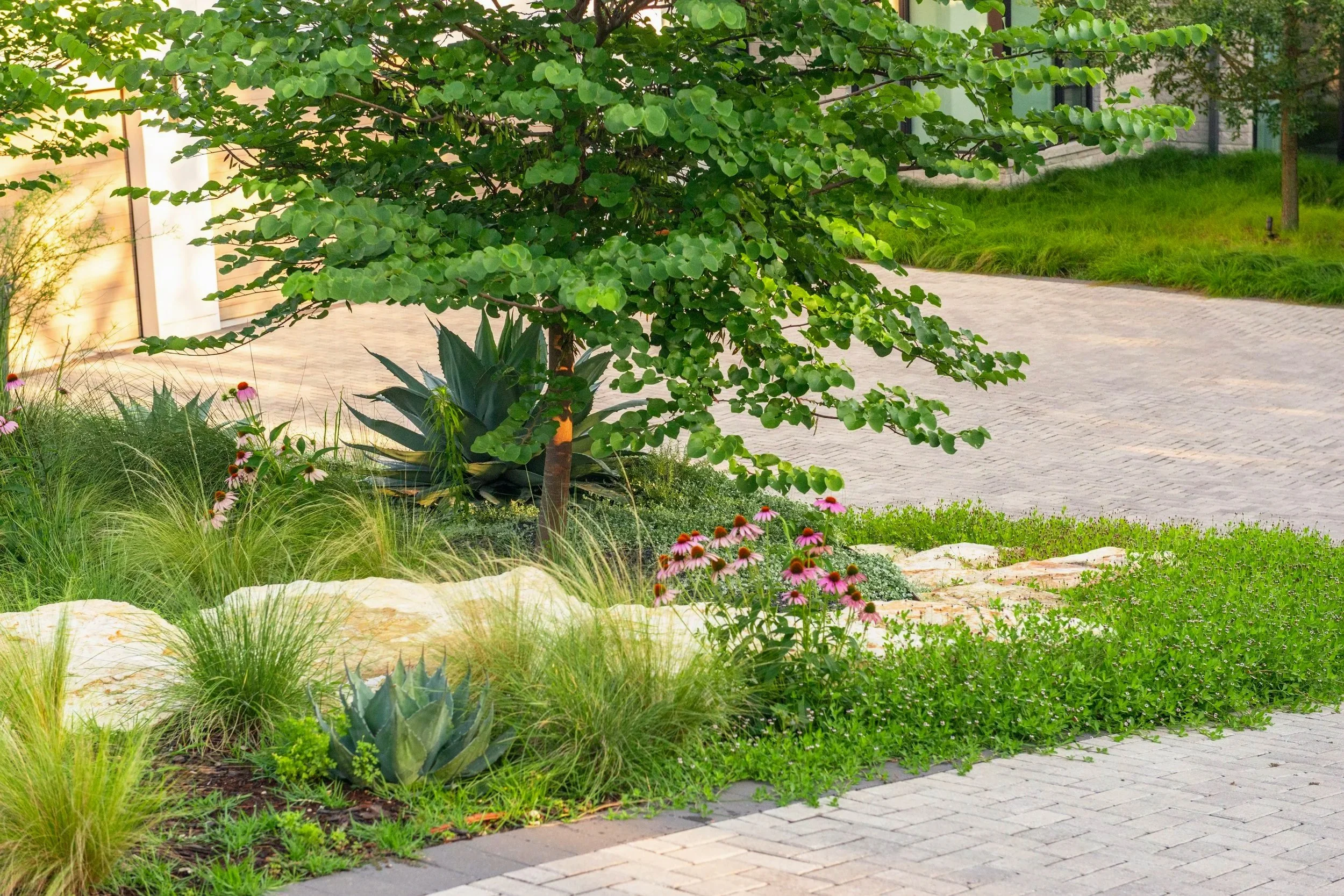 Lush, soft plantings frame the new welcoming entry steps, crafted from natural limestone pancake boulders.