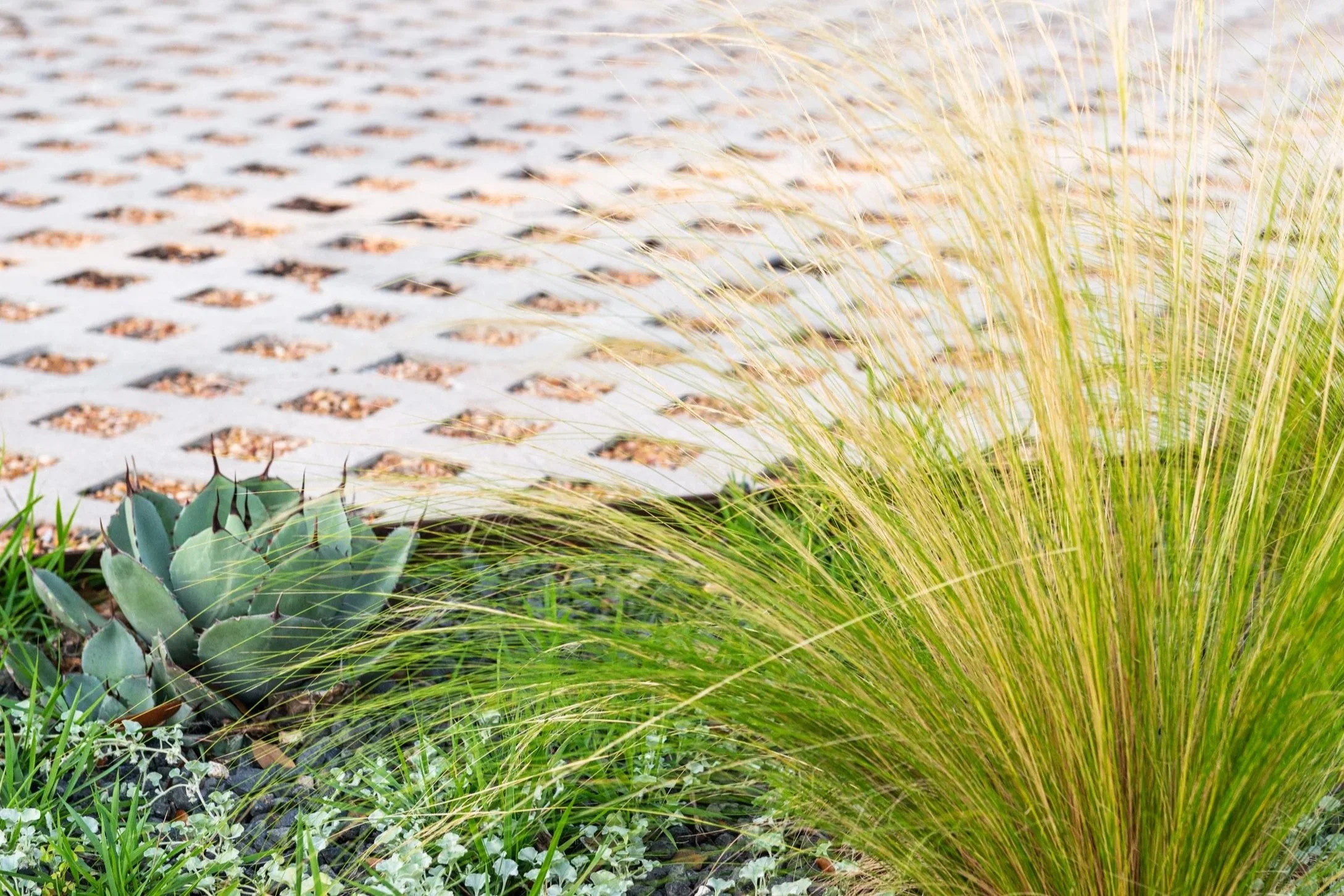 A striking arrival, where sculptural silvers and warm, sun-washed tans create a dramatic first impression.