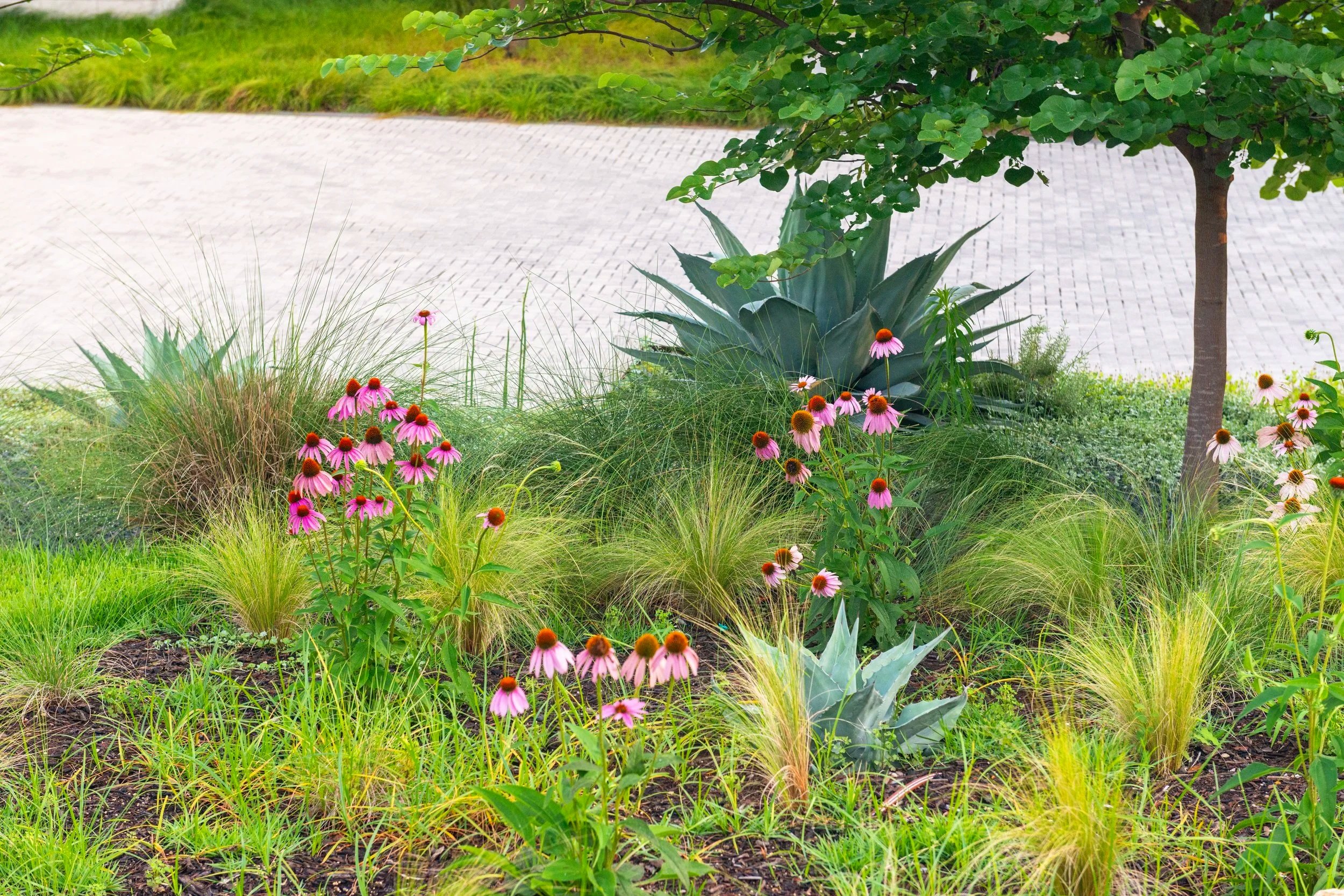 A soft, billowing meadow unfolds along the driveway, tempering the strong architectural lines and creating a more natural, welcoming arrival. Layered with movement, texture, and seasonal change, the meadow brings the landscape to life—creating valuab