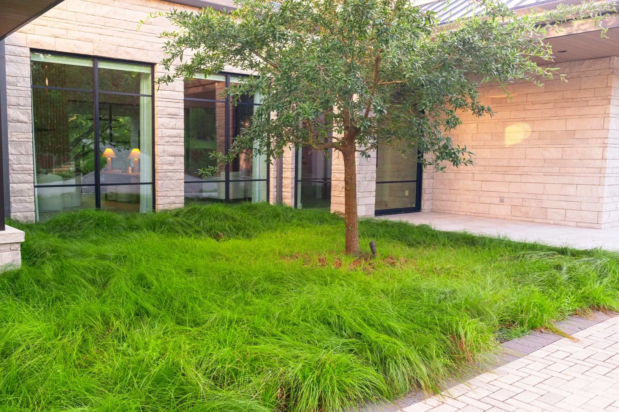 Beyond, the entry courtyard unfolds in lush, billowing mounds of sedges, creating a soft, immersive transition from the architecture into the garden experience.