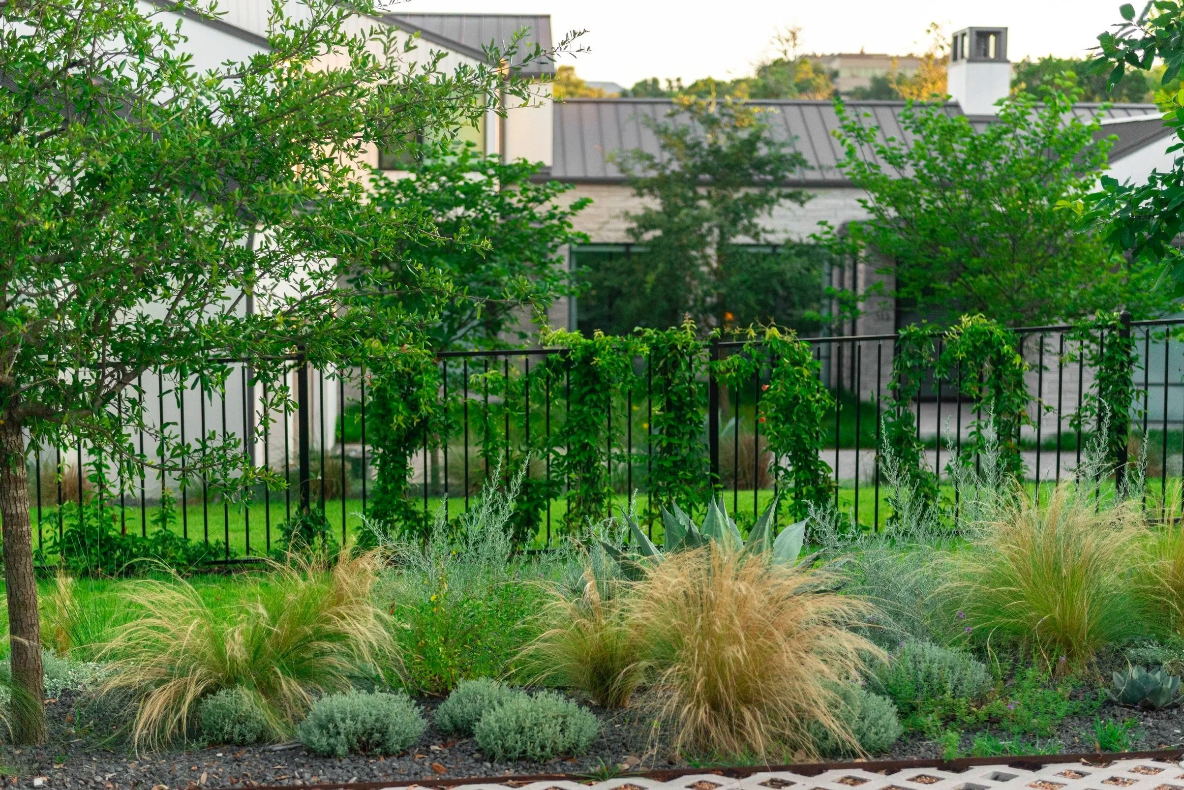 By bringing lush, layered planting to the front of the property, the landscape reclaims a sense of privacy while still allowing carefully framed views of the home and celebrating its architecture. The garden offers a glimpse of what’s to come—a lands