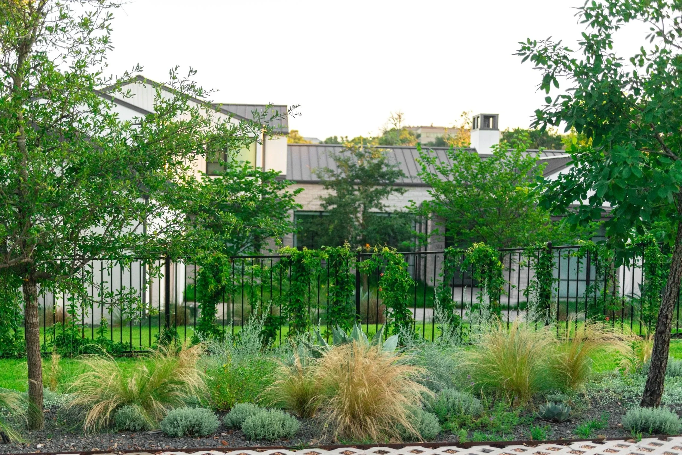 We added discreet street parking that integrates seamlessly into the streetscape, while crossvine softens the existing iron fence and creates a lush, living backdrop. 