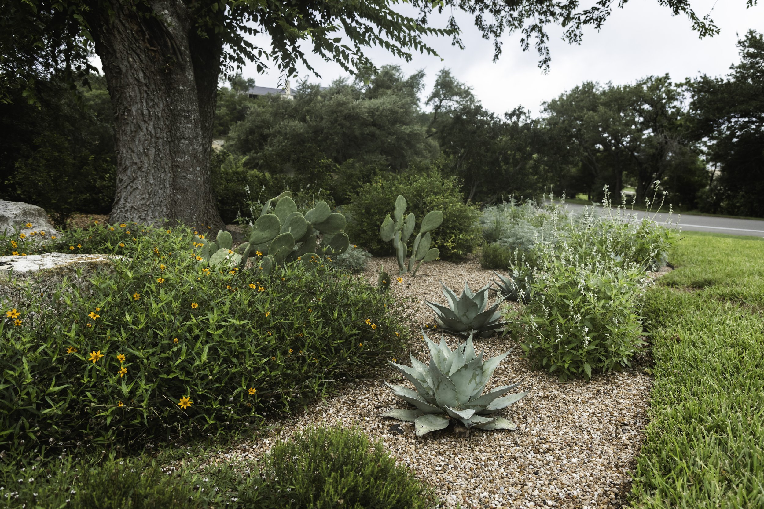 MEADOWMADE LANDSCAPES