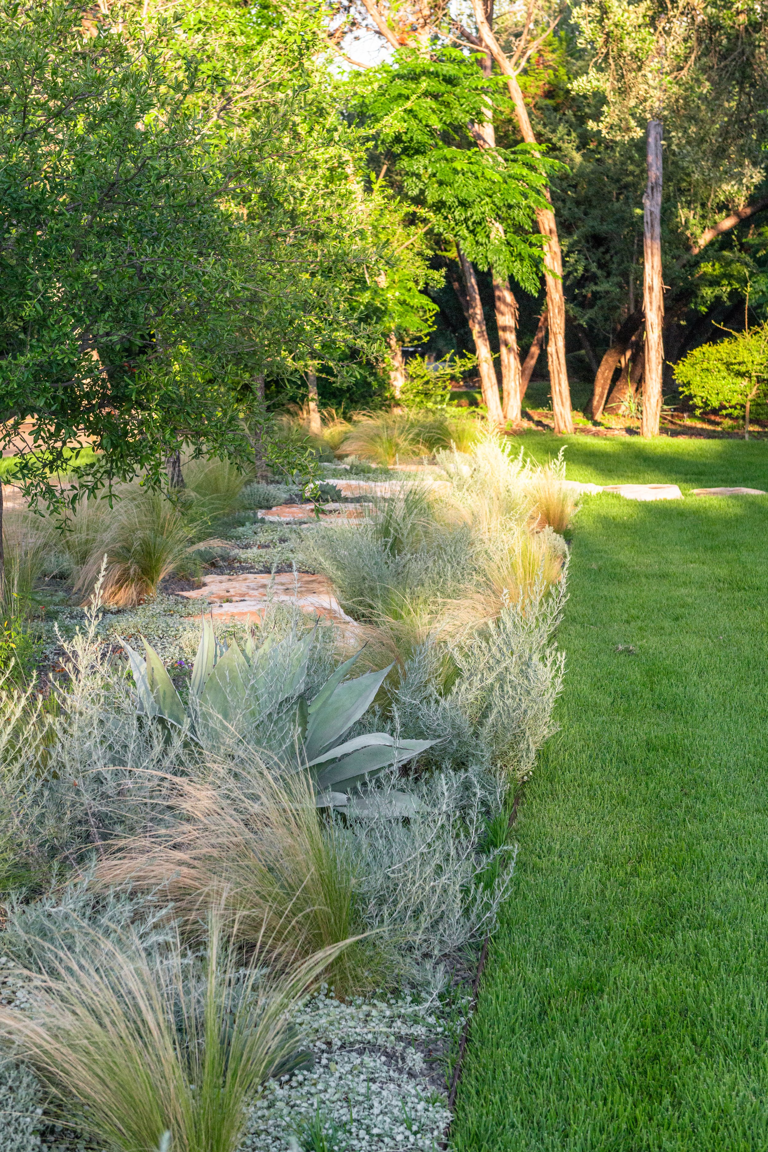 Sculptural plantings are layered with flowing grasses for movement and texture, punctuated by restrained moments of color. The intentionally limited palette brings a sense of cohesion and sophistication to the front of the home, creating a streetscap