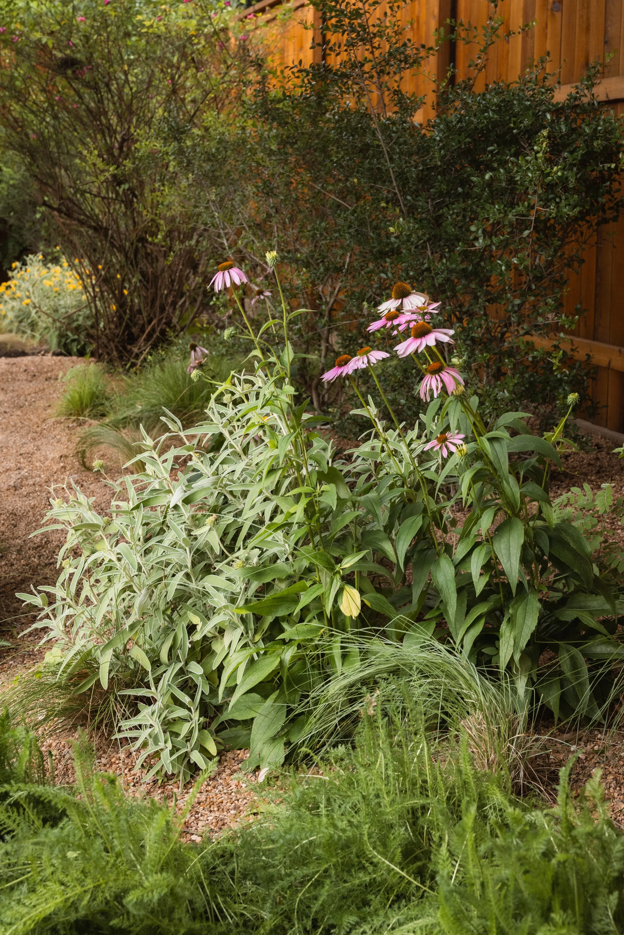 Runyon Media -0774.jpg