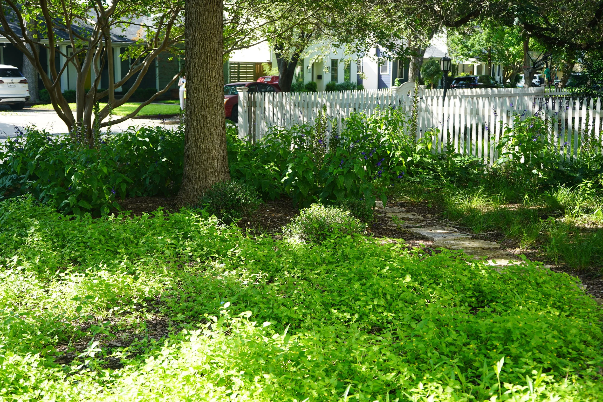 DSC00890 (1).JPG