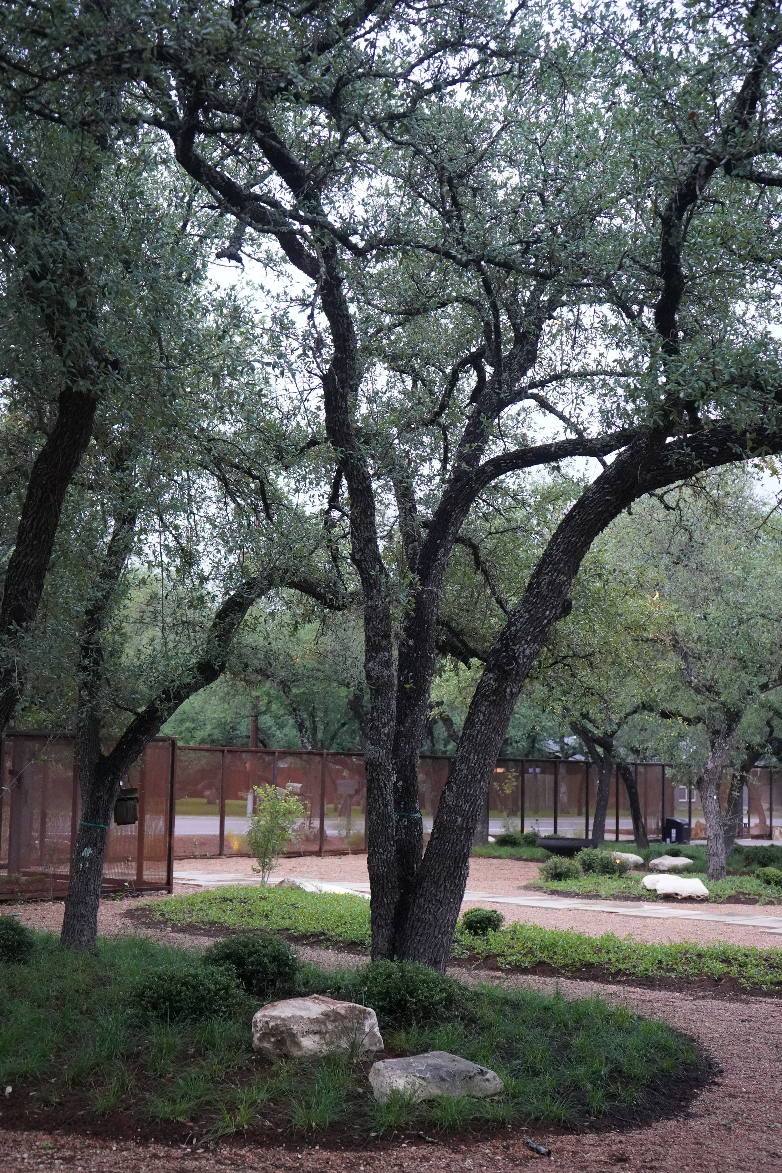 Cedar Park