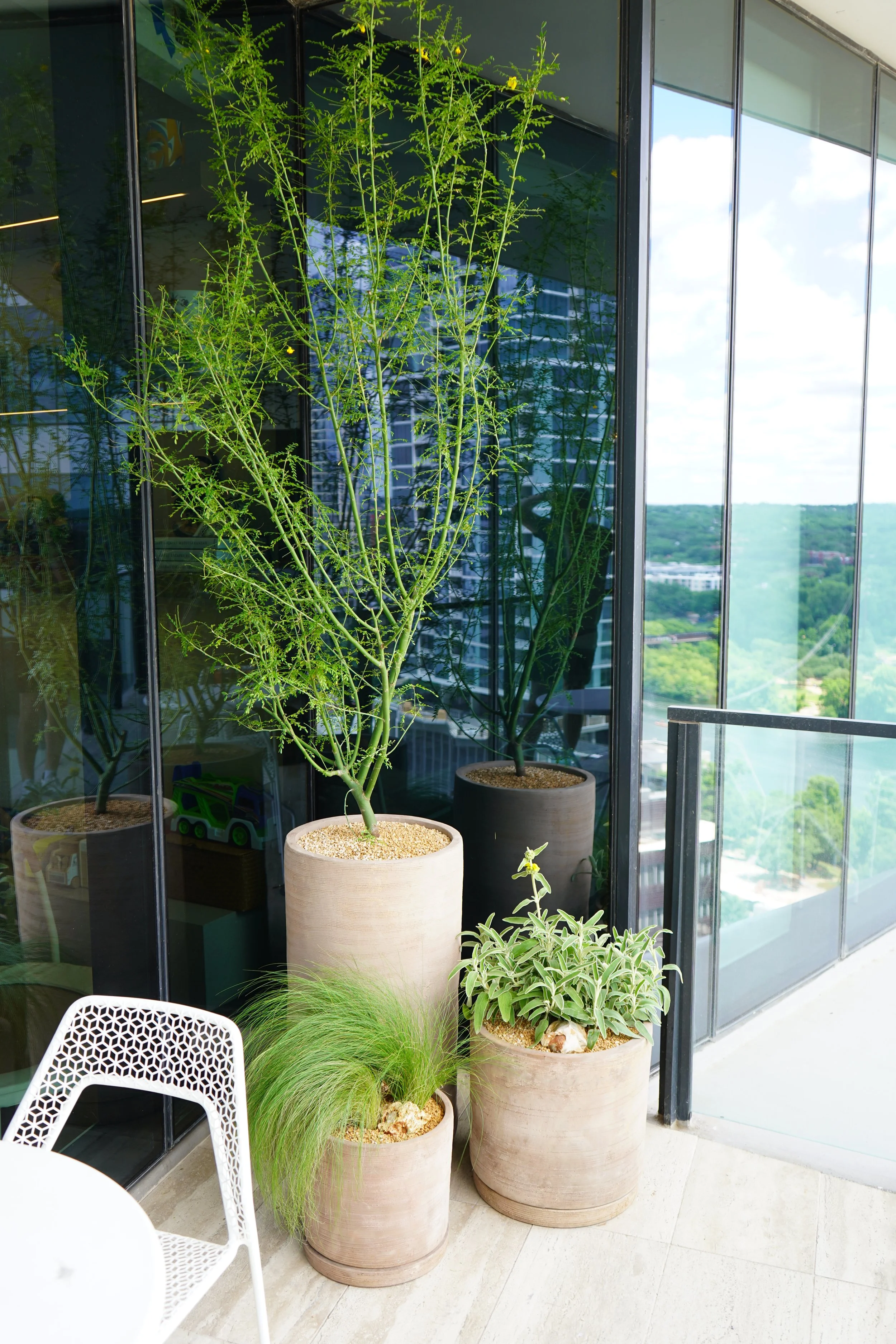 POTTED SCAPES