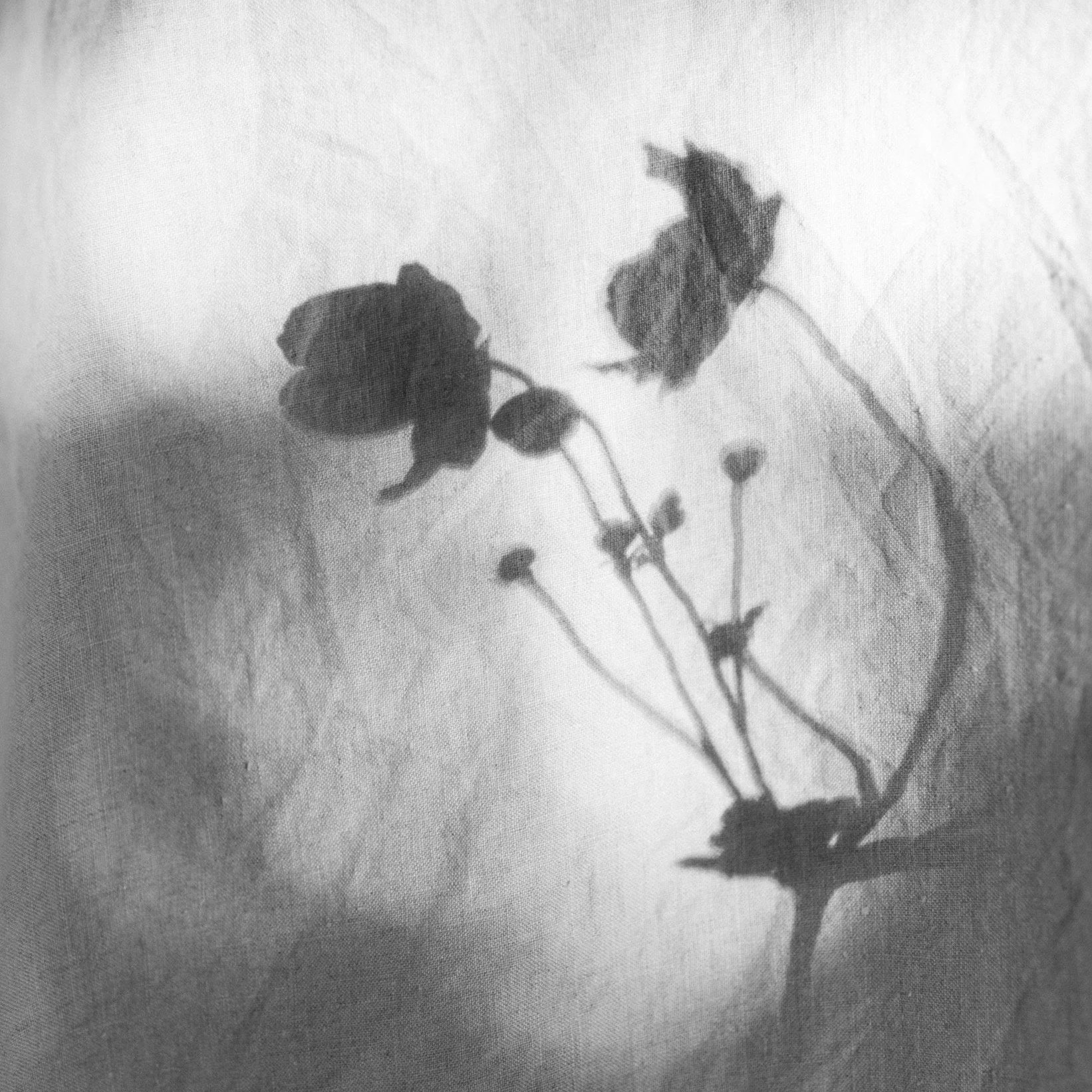 Mindfulness Meditation Doula Services for Birth, Postpartum and Death in Ontario: Collingwood, Barrie, Owen Sound, Orangeville