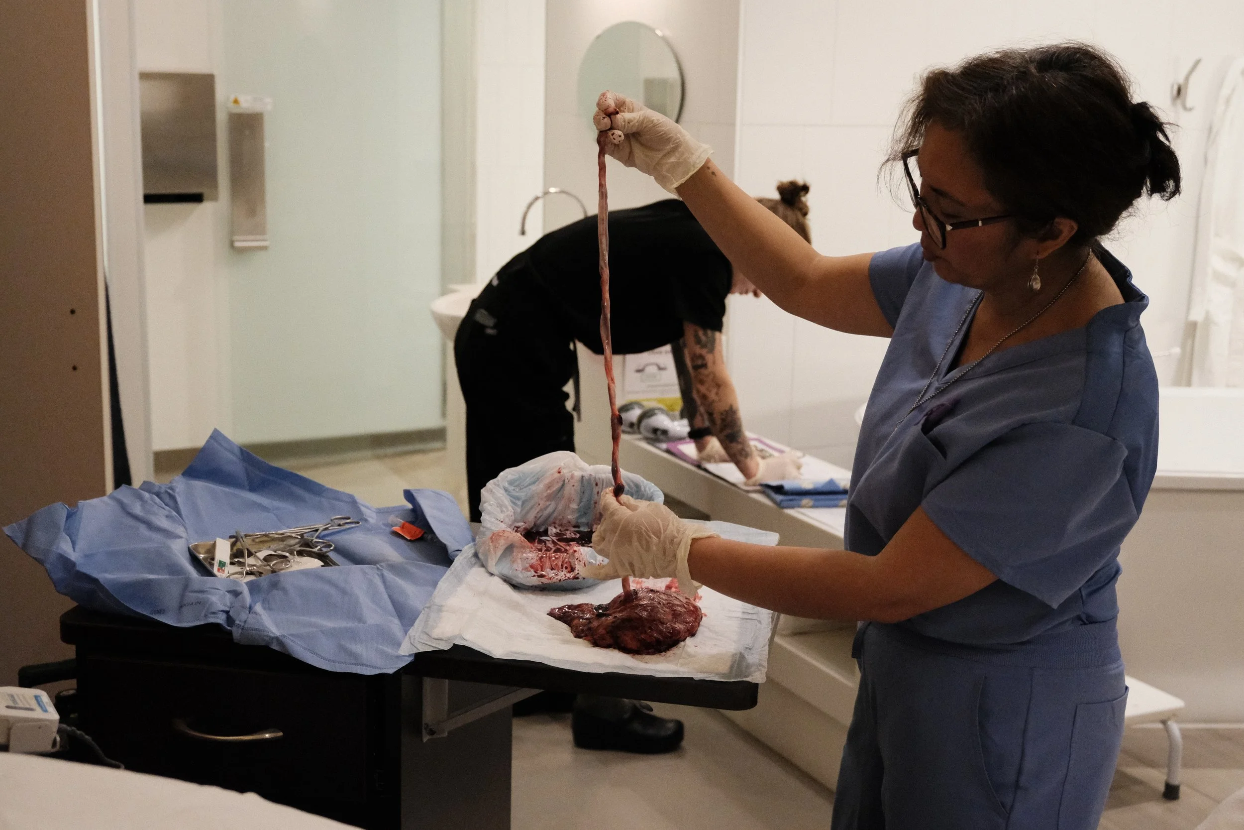 Toronto Birth Centre Placenta Tour Labour and Delivery