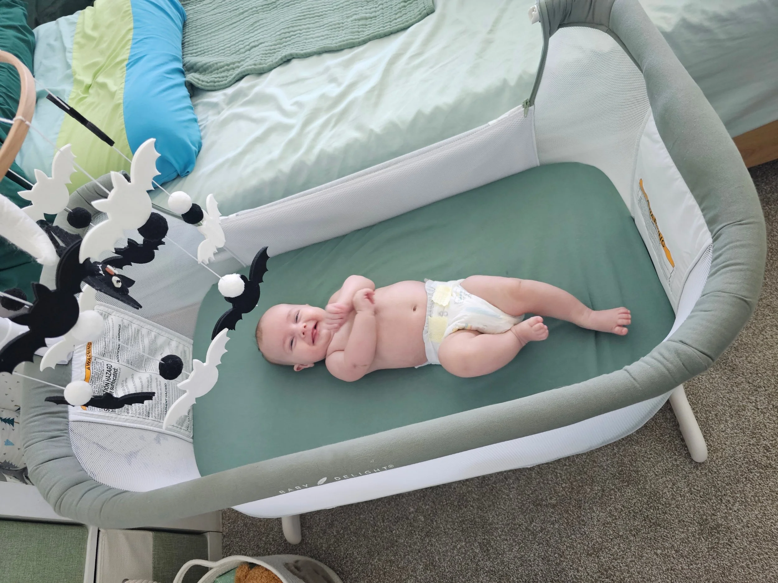 Why I Chose the Baby Delight Beside Me™ Dreamer Bassinet as a First-Time Mom